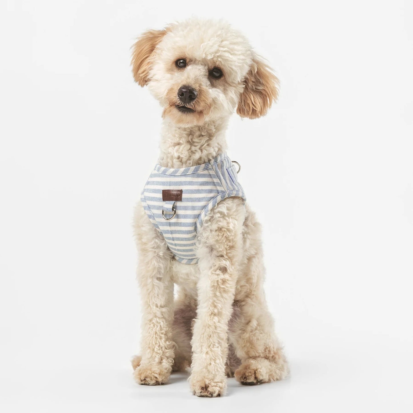 Levante | Harnais wrap pour chien à rayures, fait main - Jean - Poil - 2XS