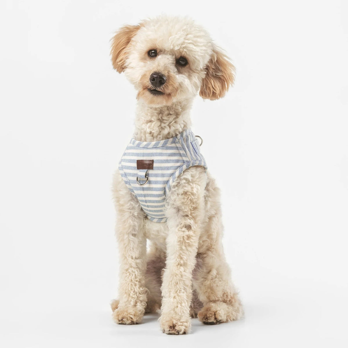 Levante | Harnais wrap pour chien à rayures, fait main - Jean - Poil - 2XS