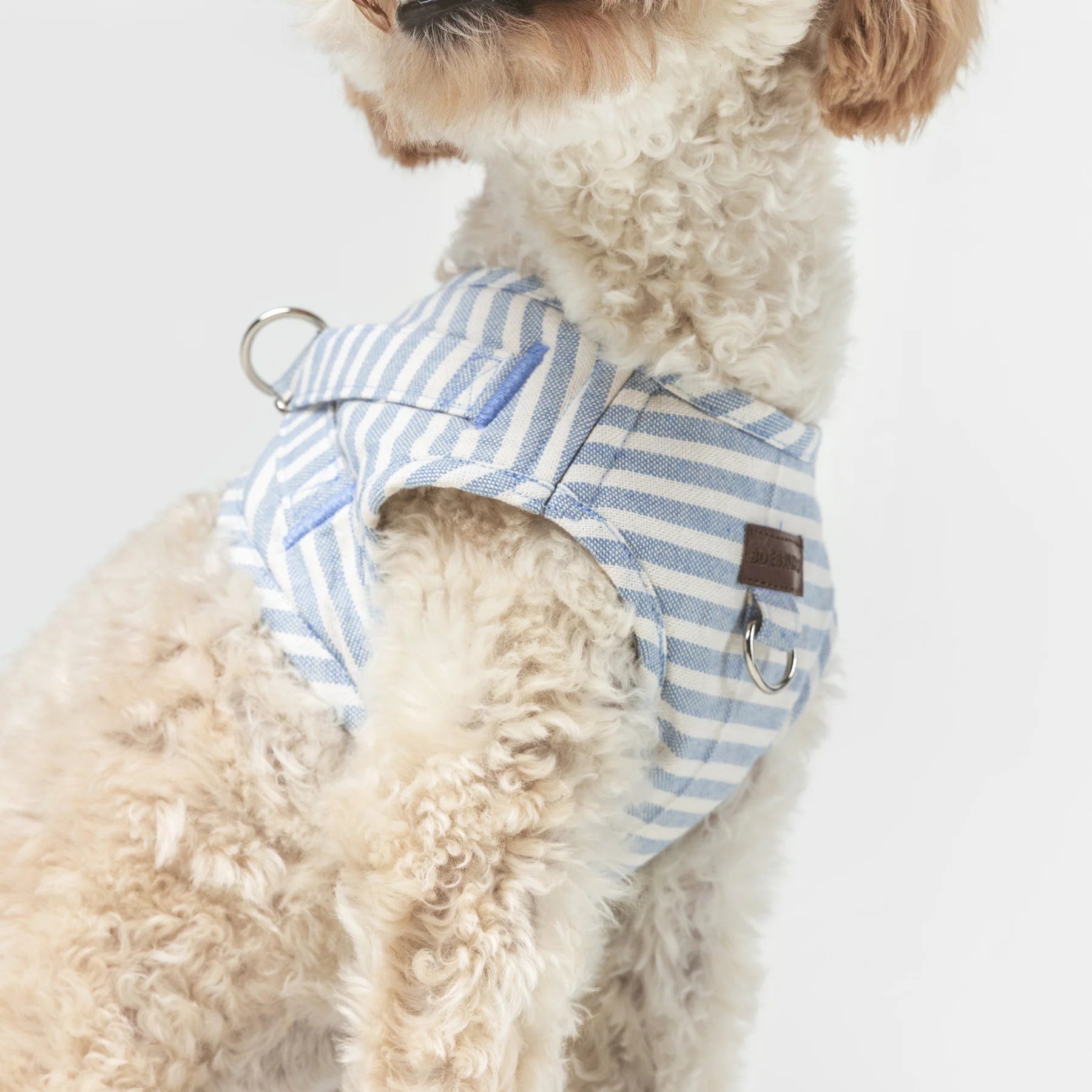 Levante | Harnais wrap pour chien à rayures, fait main - Jean - Poil - 2XS