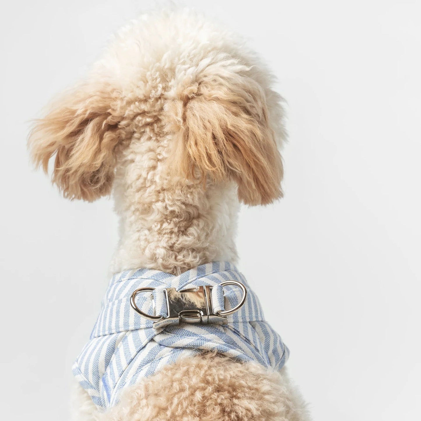 Levante | Harnais wrap pour chien à rayures, fait main - Jean - Poil - 2XS