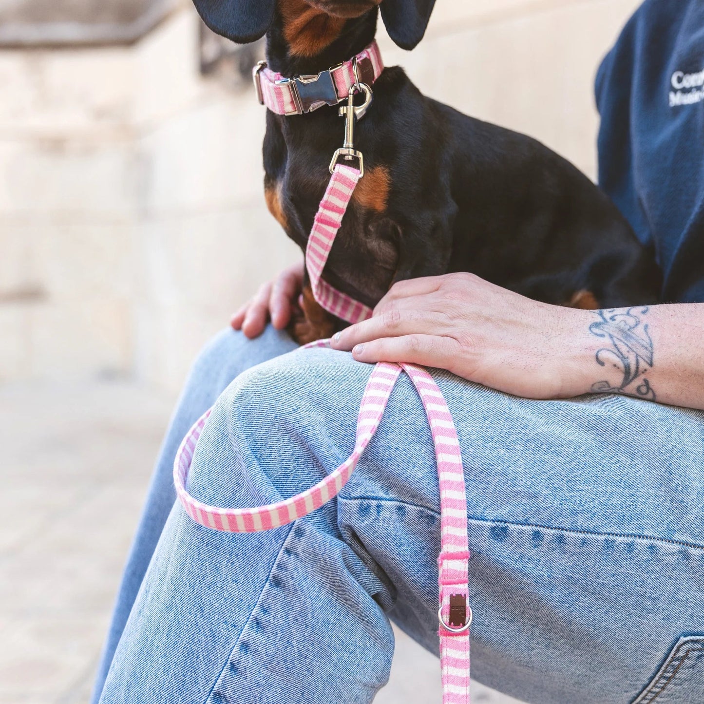 Levante | Laisse pour chien rayée – style bord de mer, ville & multipositions, fait main - Jean - Poil - XS