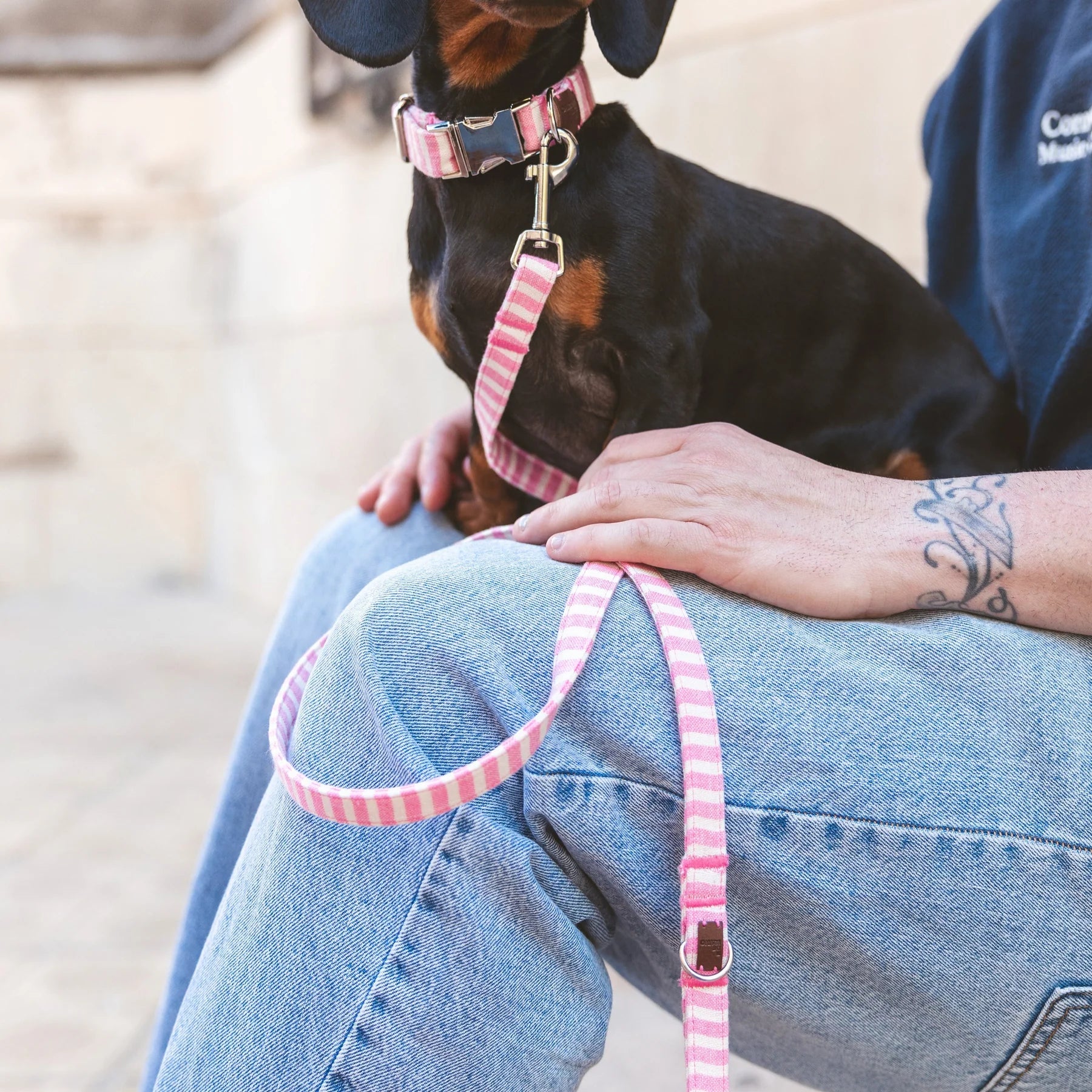 Levante | Laisse pour chien rayée – style bord de mer, ville & multipositions, fait main - Jean - Poil - XS