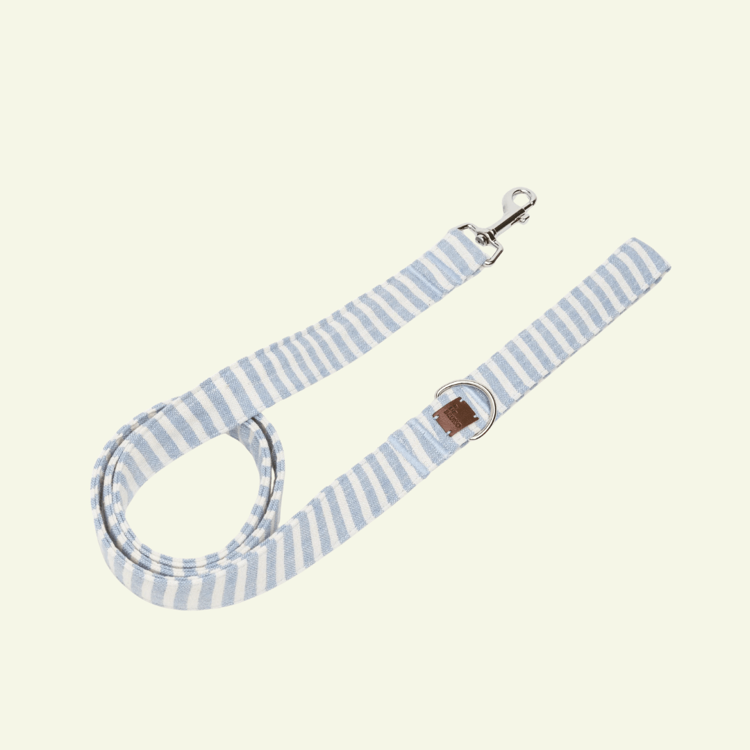 Levante | Laisse pour chien rayée – style bord de mer, ville & multipositions, fait main - Jean - Poil - XS