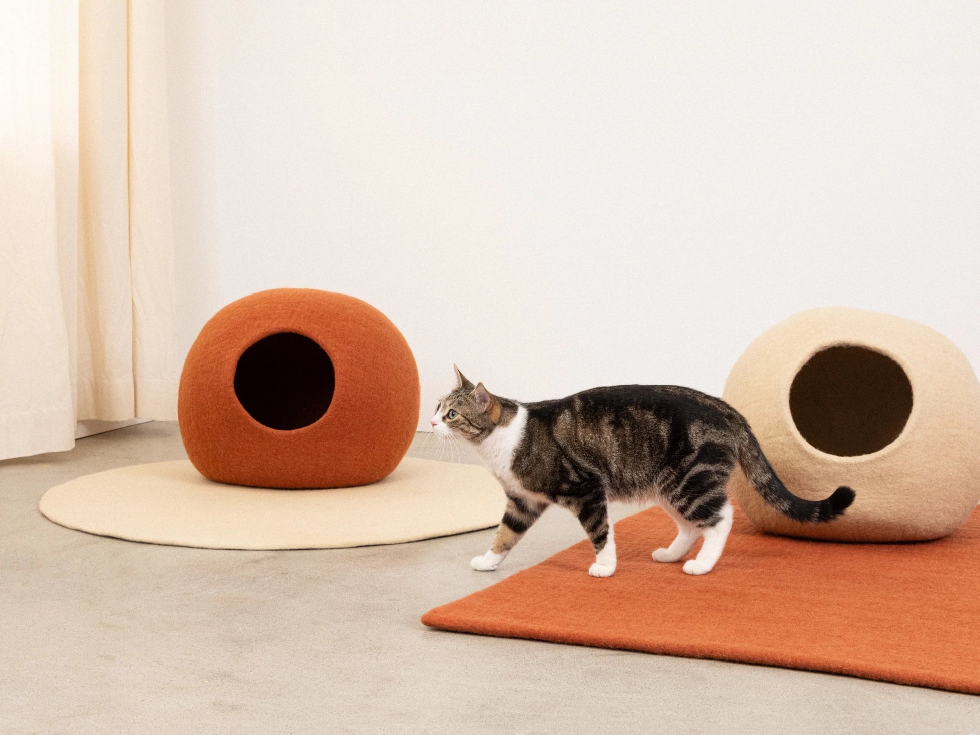 Levi | Grotte pour chat en feutre de laine naturelle - Beige - Jean - Poil - 