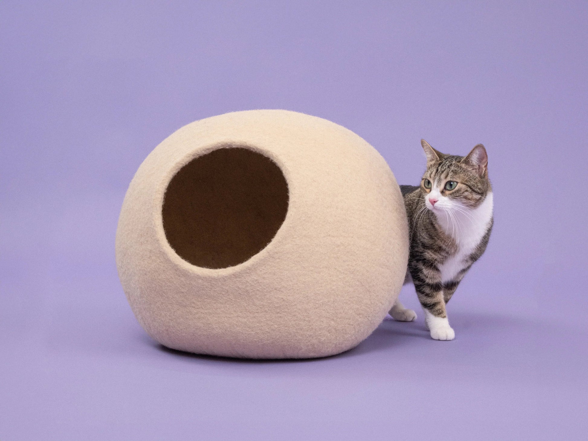 Levi | Grotte pour chat en feutre de laine naturelle - Beige - Jean - Poil - 