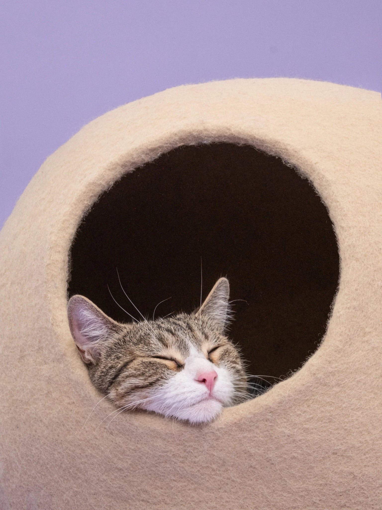 Levi | Grotte pour chat en feutre de laine naturelle - Beige - Jean - Poil - 