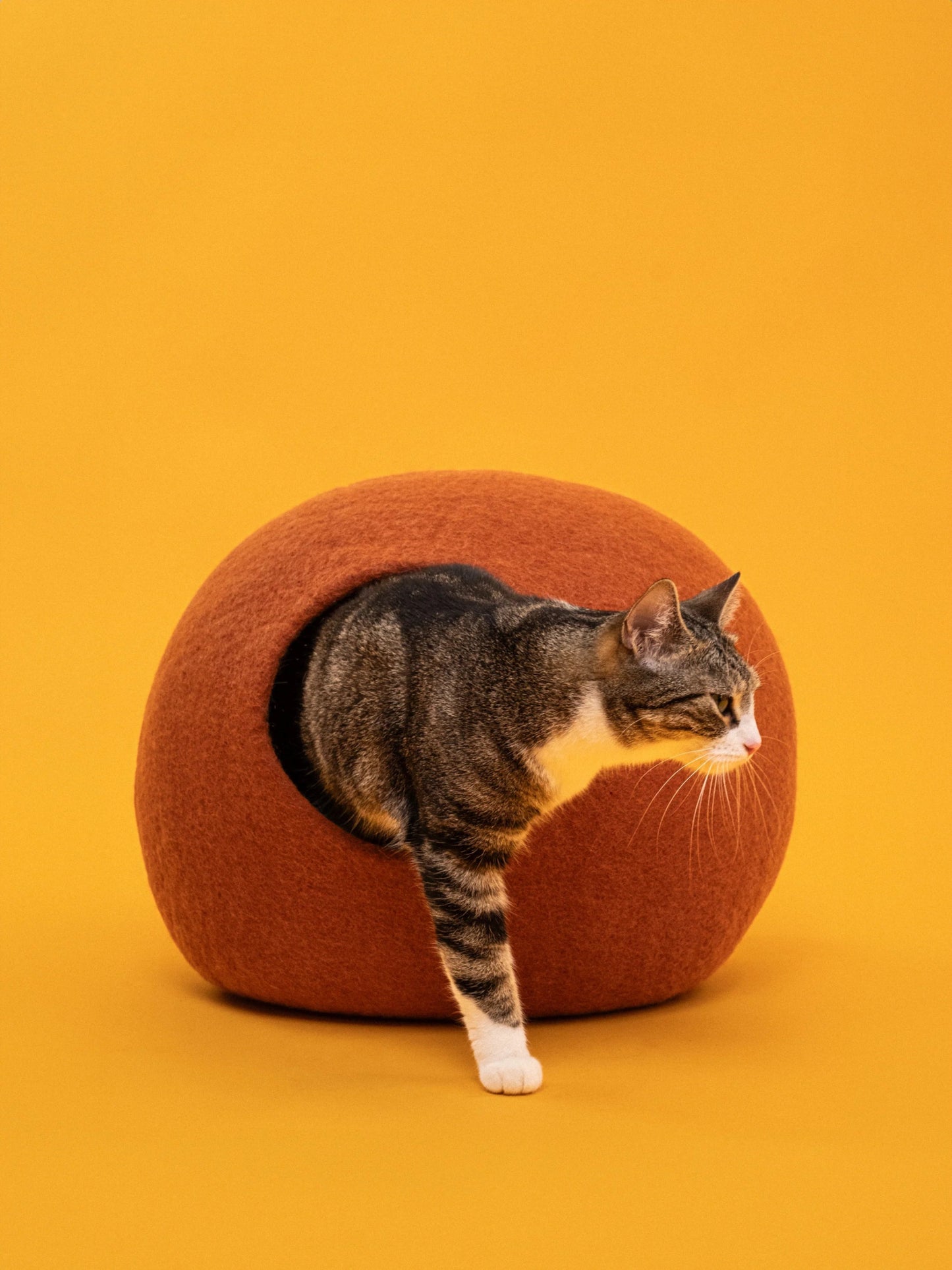 Lora | Grotte pour chat en feutre de laine naturelle - Rouille - Jean - Poil - 