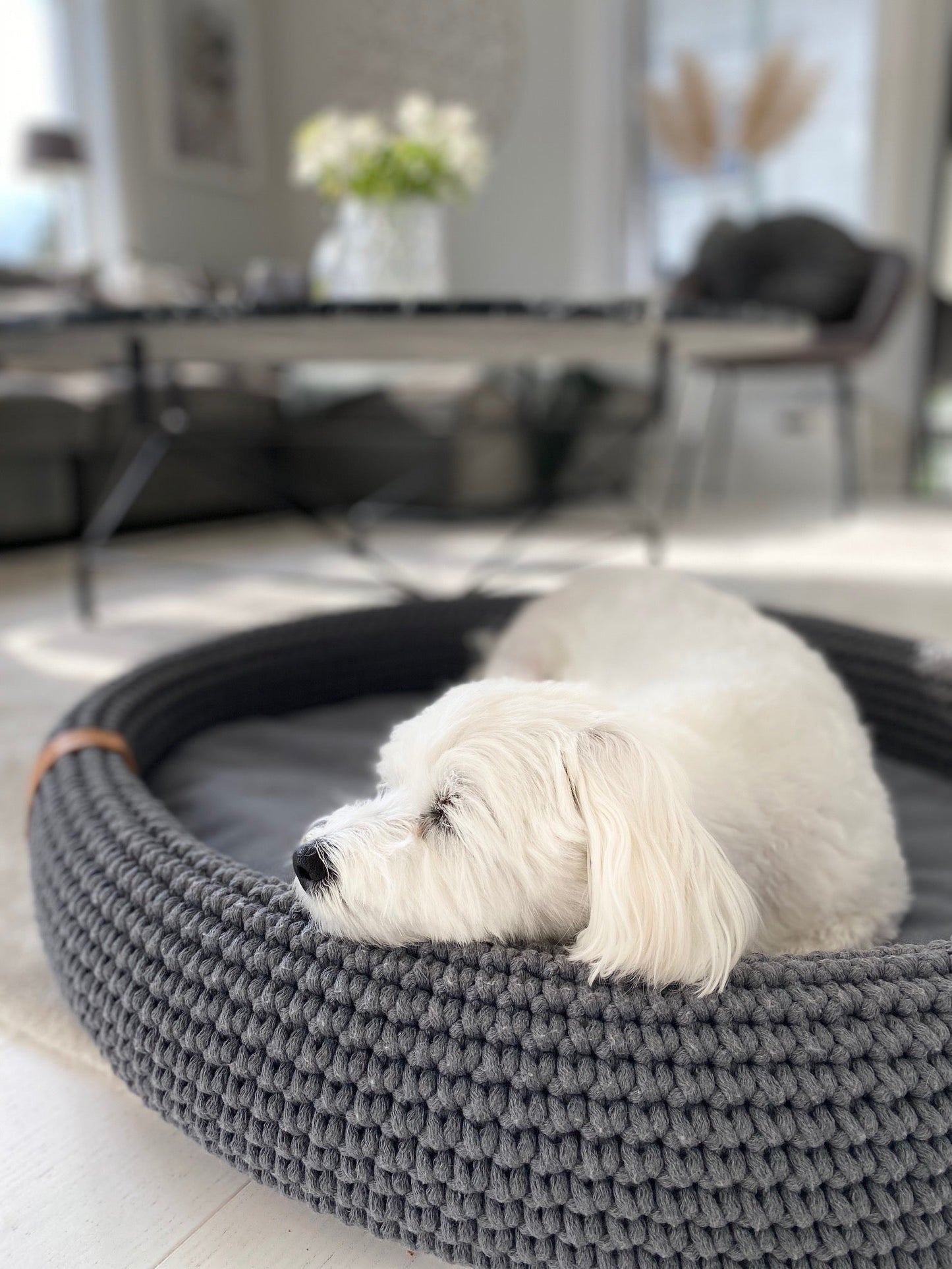 Lukko | Panier pour chien ovale en coton tressé avec coussin amovible - Jean - Poil - Gris clair