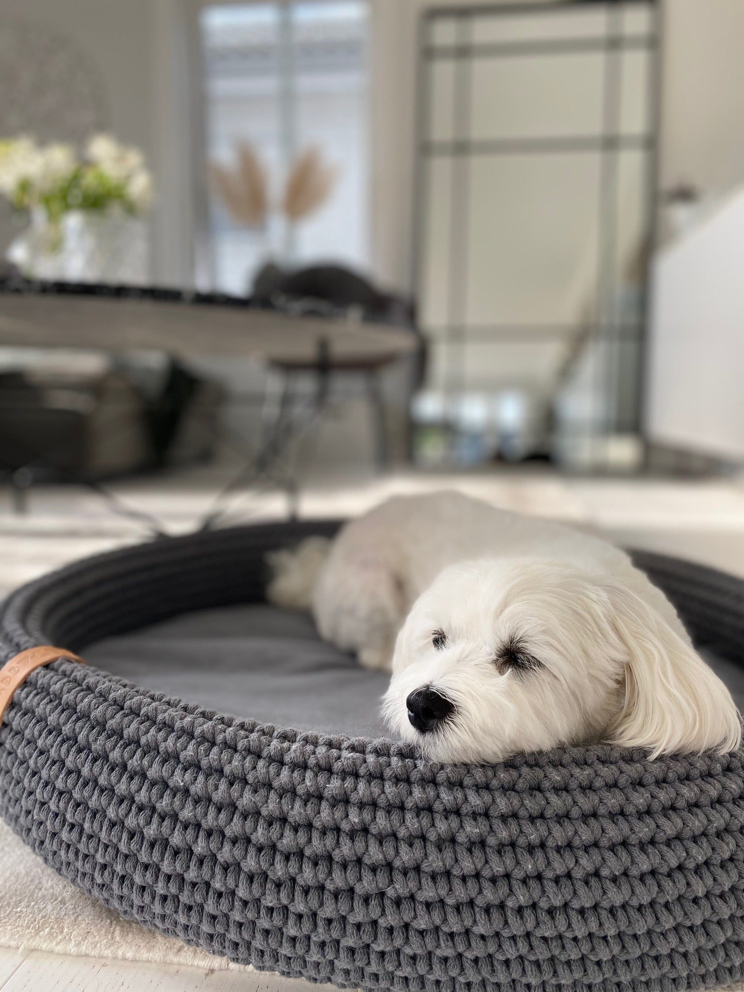 Lukko | Panier pour chien ovale en coton tressé avec coussin amovible - Jean - Poil - Gris clair
