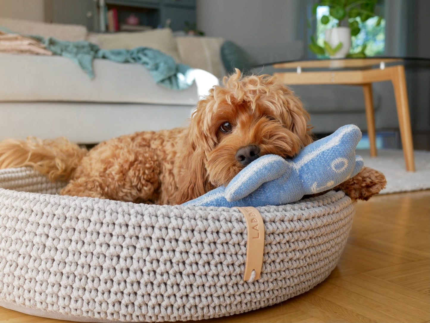 Lukko | Panier pour chien ovale en coton tressé avec coussin amovible - Jean - Poil - Gris clair