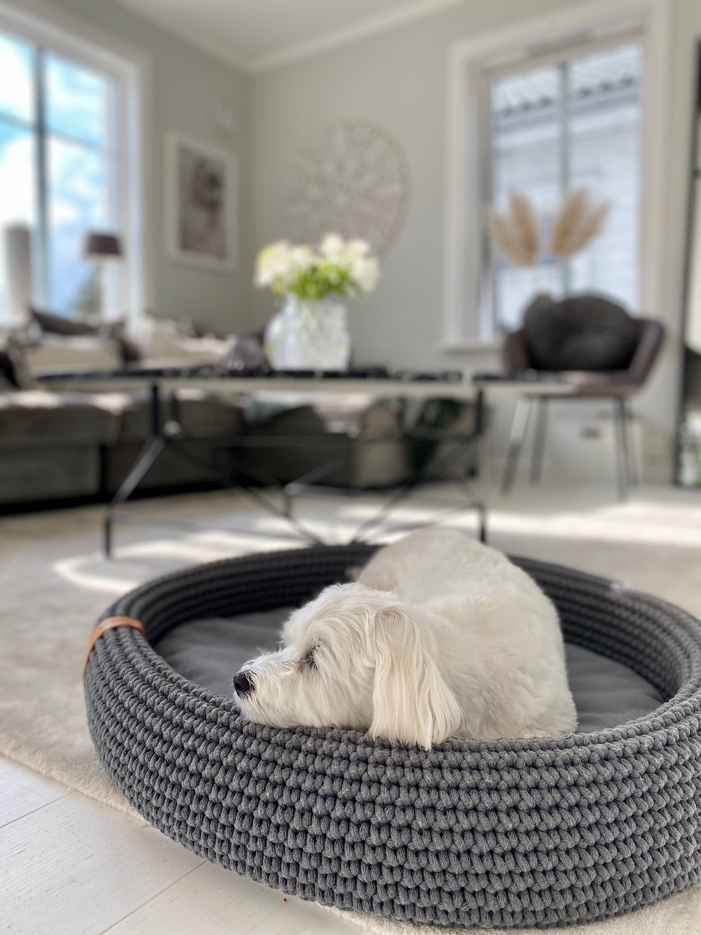 Lukko | Panier pour chien ovale en coton tressé avec coussin amovible - Jean - Poil - Gris clair
