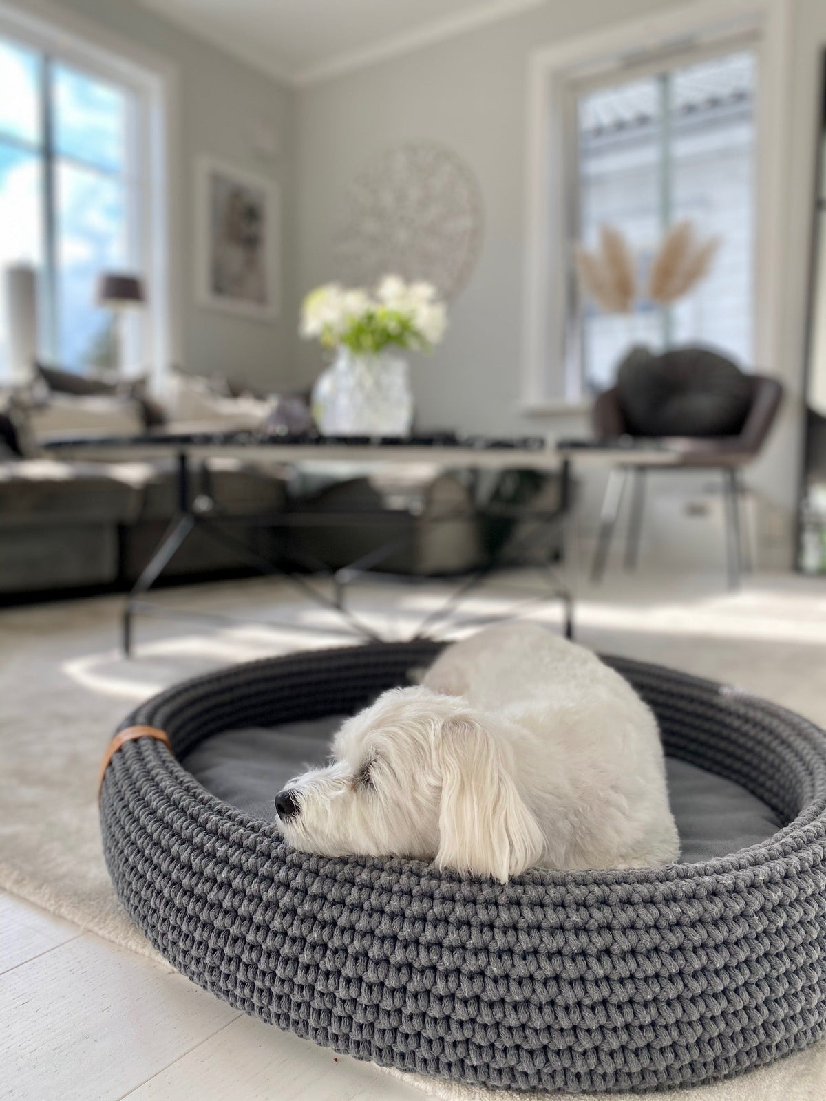 Lukko | Panier pour chien ovale en coton tressé avec coussin amovible - Jean - Poil - Gris clair