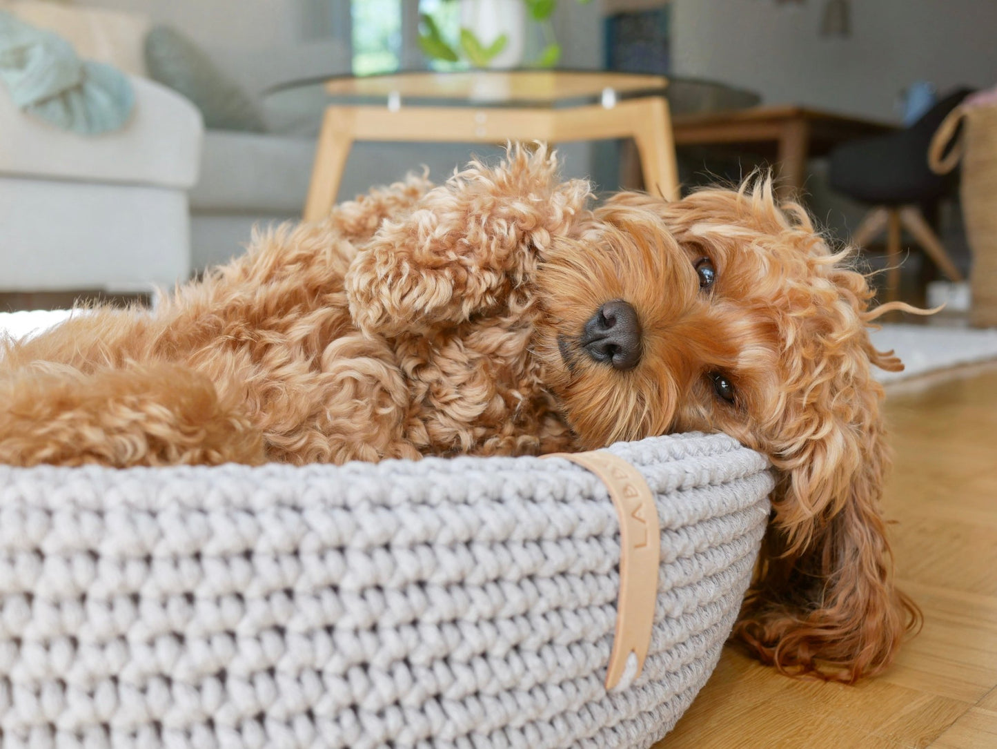 Lukko | Panier pour chien ovale en coton tressé avec coussin amovible - Jean - Poil - Gris clair