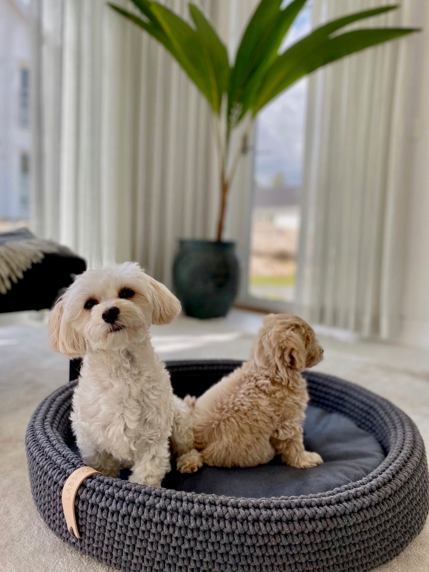 Lukko | Panier pour chien ovale en coton tressé avec coussin amovible - Jean - Poil - Gris clair