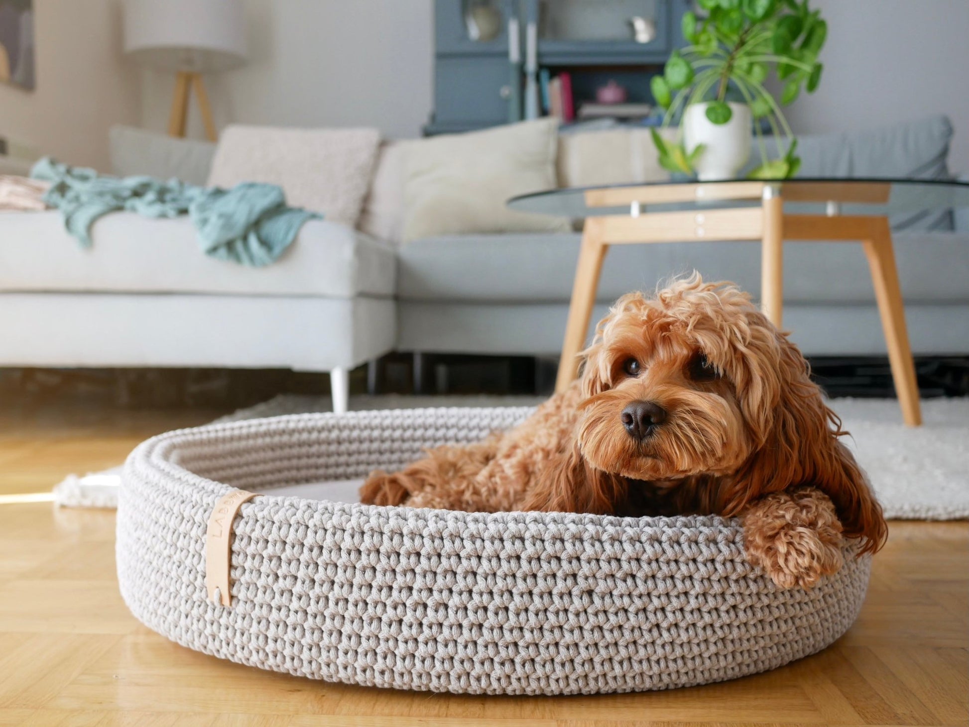 Lukko | Panier pour chien ovale en coton tressé avec coussin amovible - Jean - Poil - Gris clair