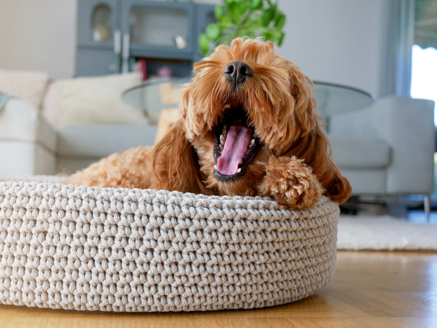 Lukko | Panier pour chien ovale en coton tressé avec coussin amovible - Jean - Poil - Gris clair