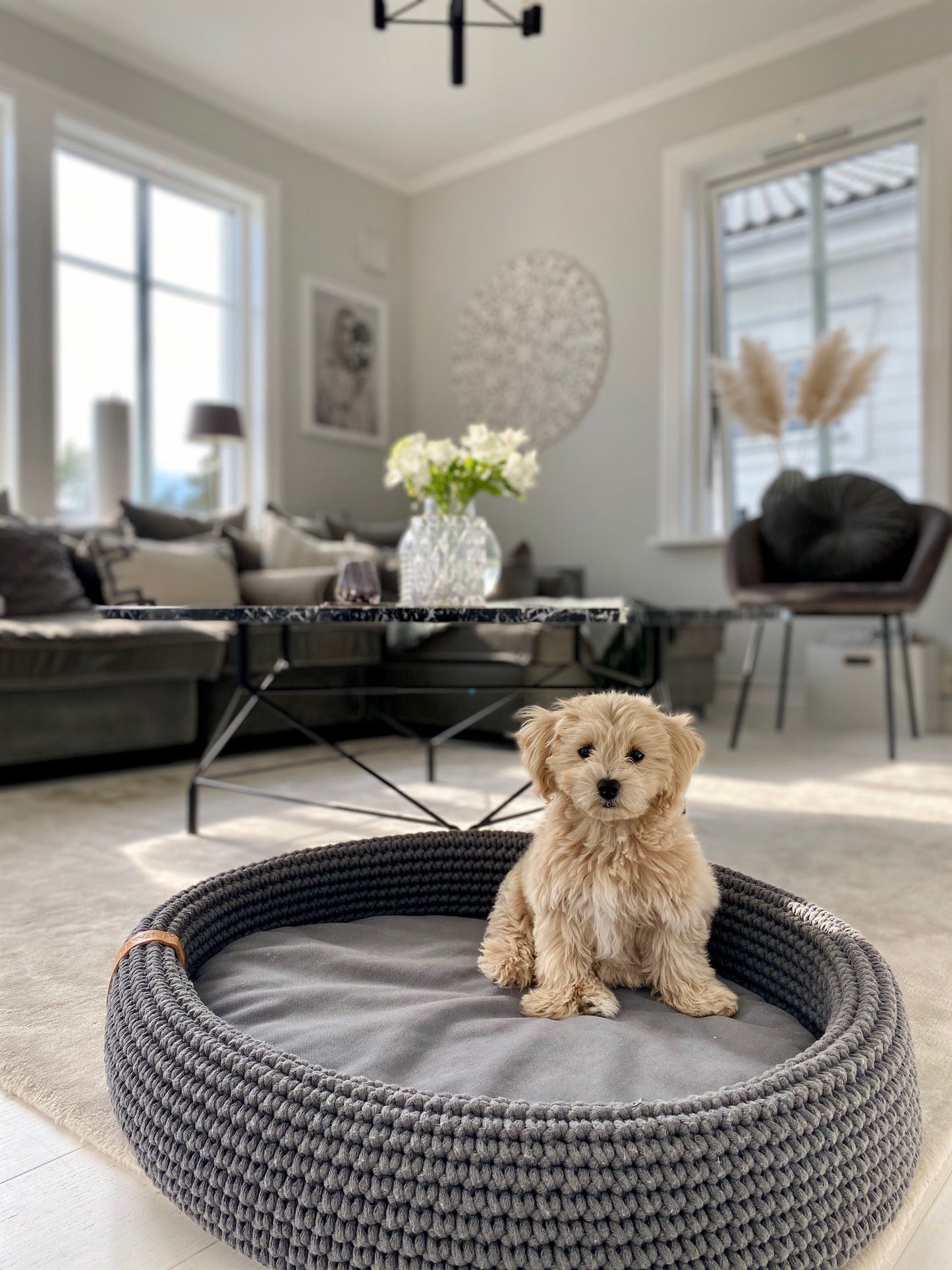 Lukko | Panier pour chien ovale en coton tressé avec coussin amovible - Jean - Poil - Gris clair