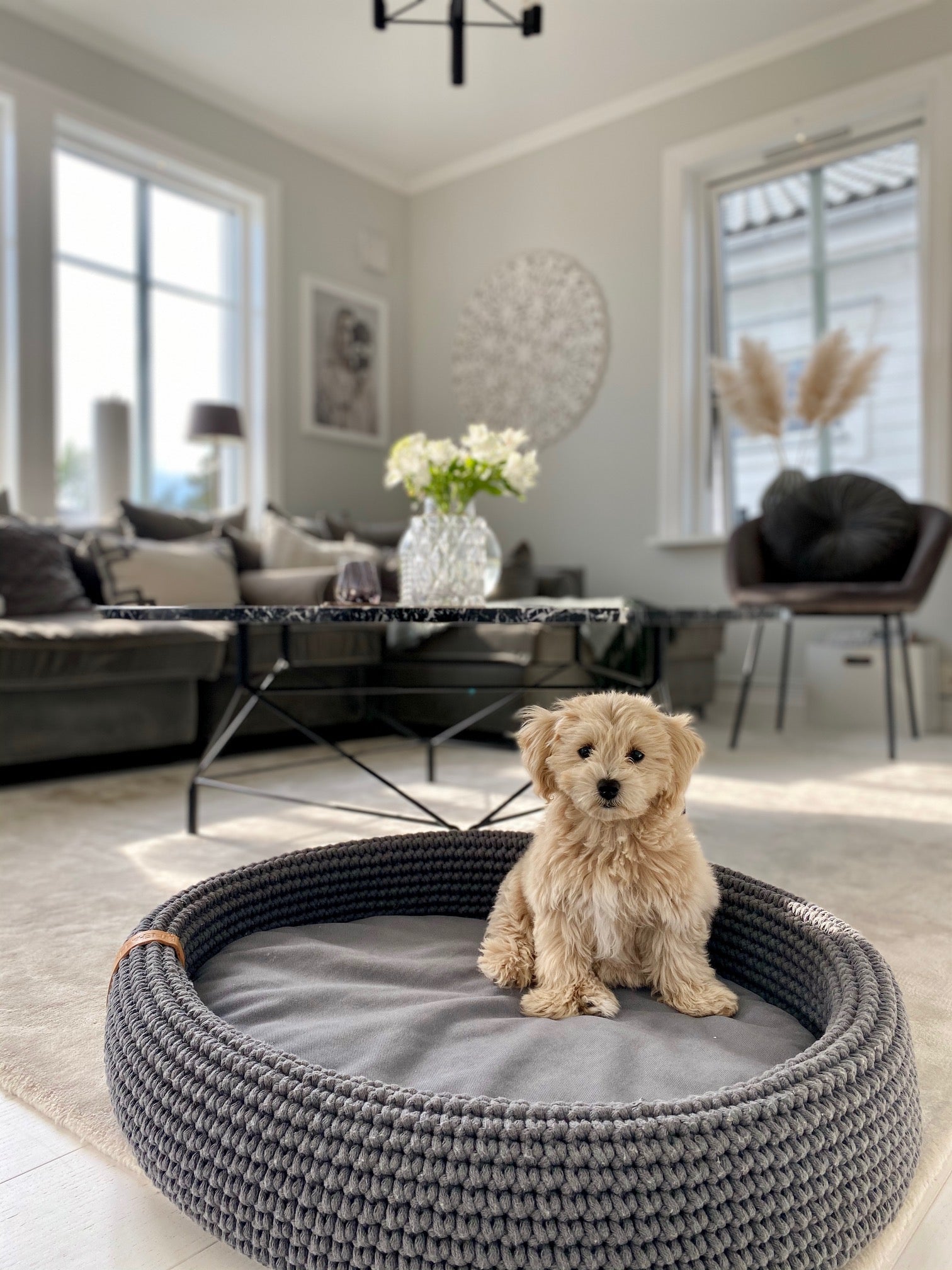 Lukko | Panier pour chien ovale en coton tressé avec coussin amovible - Jean - Poil - Gris clair