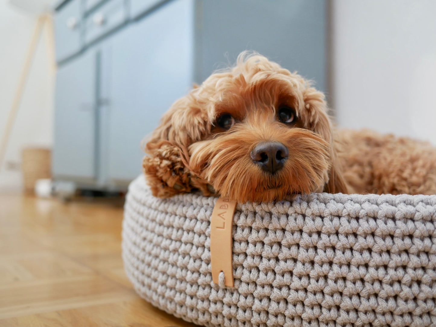 Lukko | Panier pour chien ovale en coton tressé avec coussin amovible - Jean - Poil - Gris clair