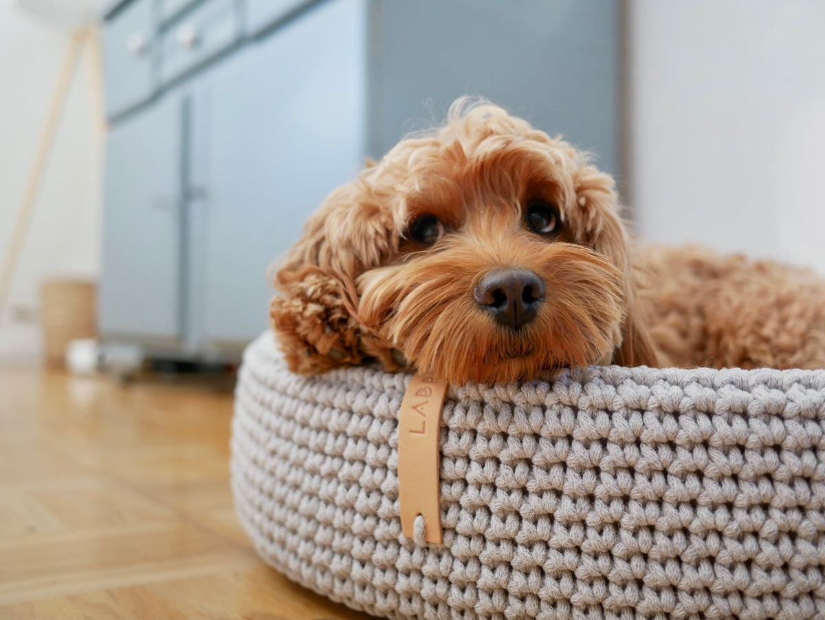Lukko | Panier pour chien ovale en coton tressé avec coussin amovible - Jean - Poil - Gris clair