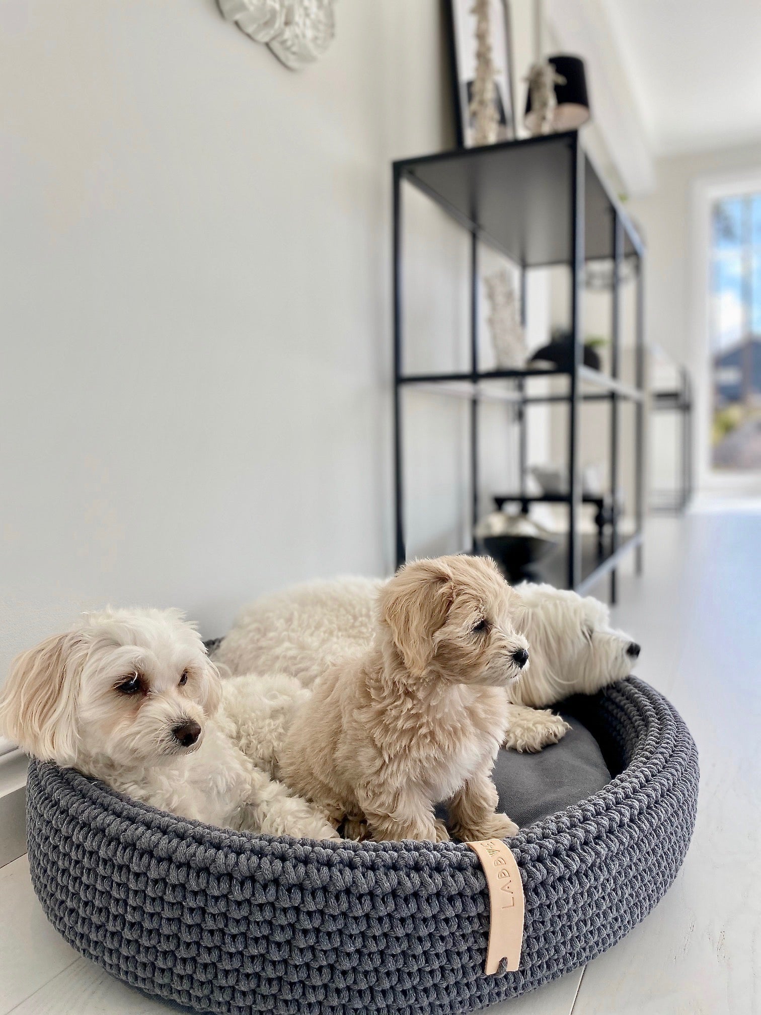 Lukko | Panier pour chien ovale en coton tressé avec coussin amovible - Jean - Poil - Gris clair