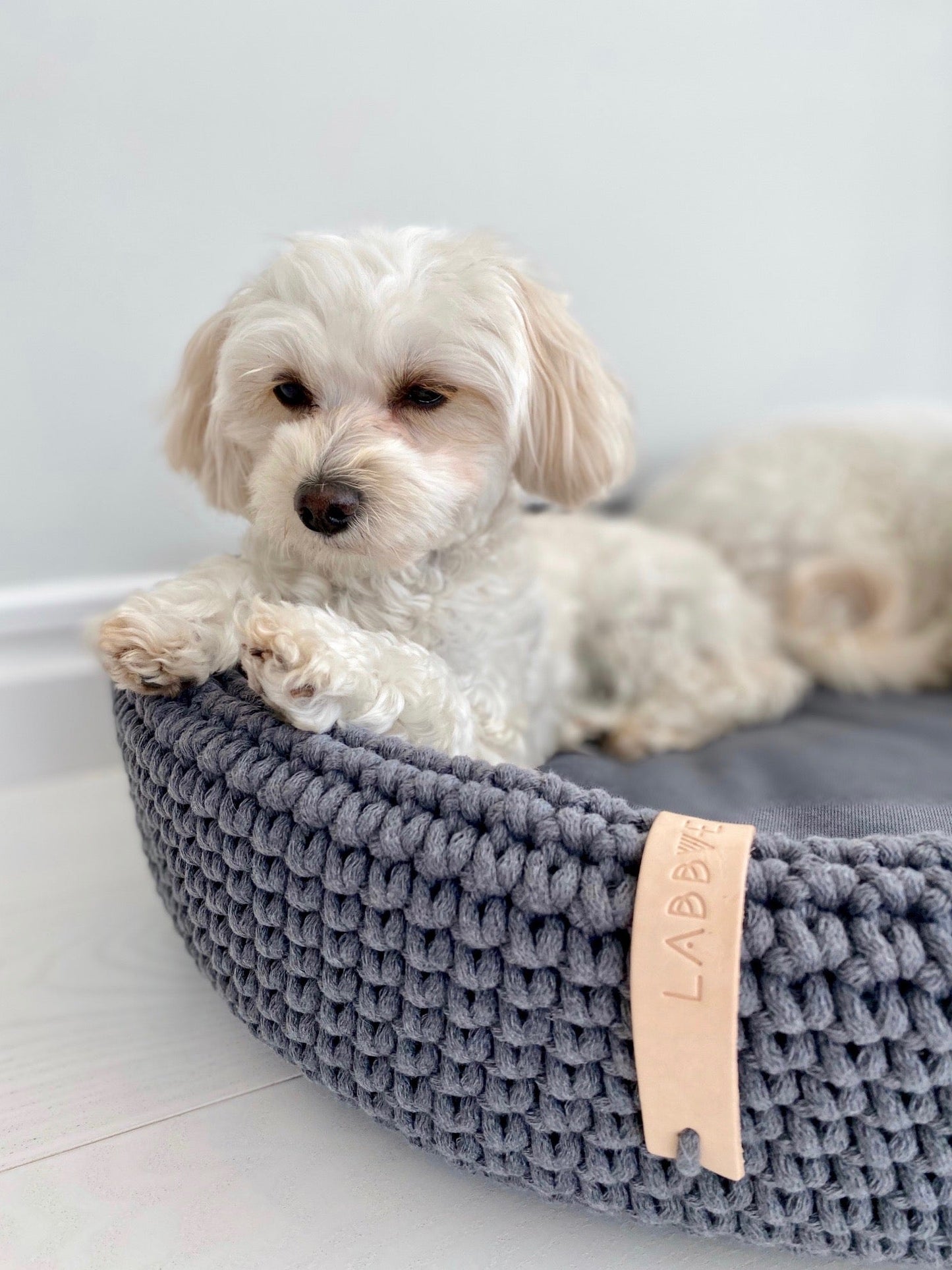 Lukko | Panier pour chien ovale en coton tressé avec coussin amovible - Jean - Poil - Gris clair