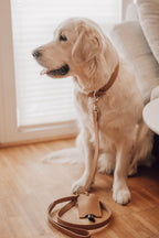 Lussa | Laisse pour chien en cuir italien - Camel - Jean - Poil - 