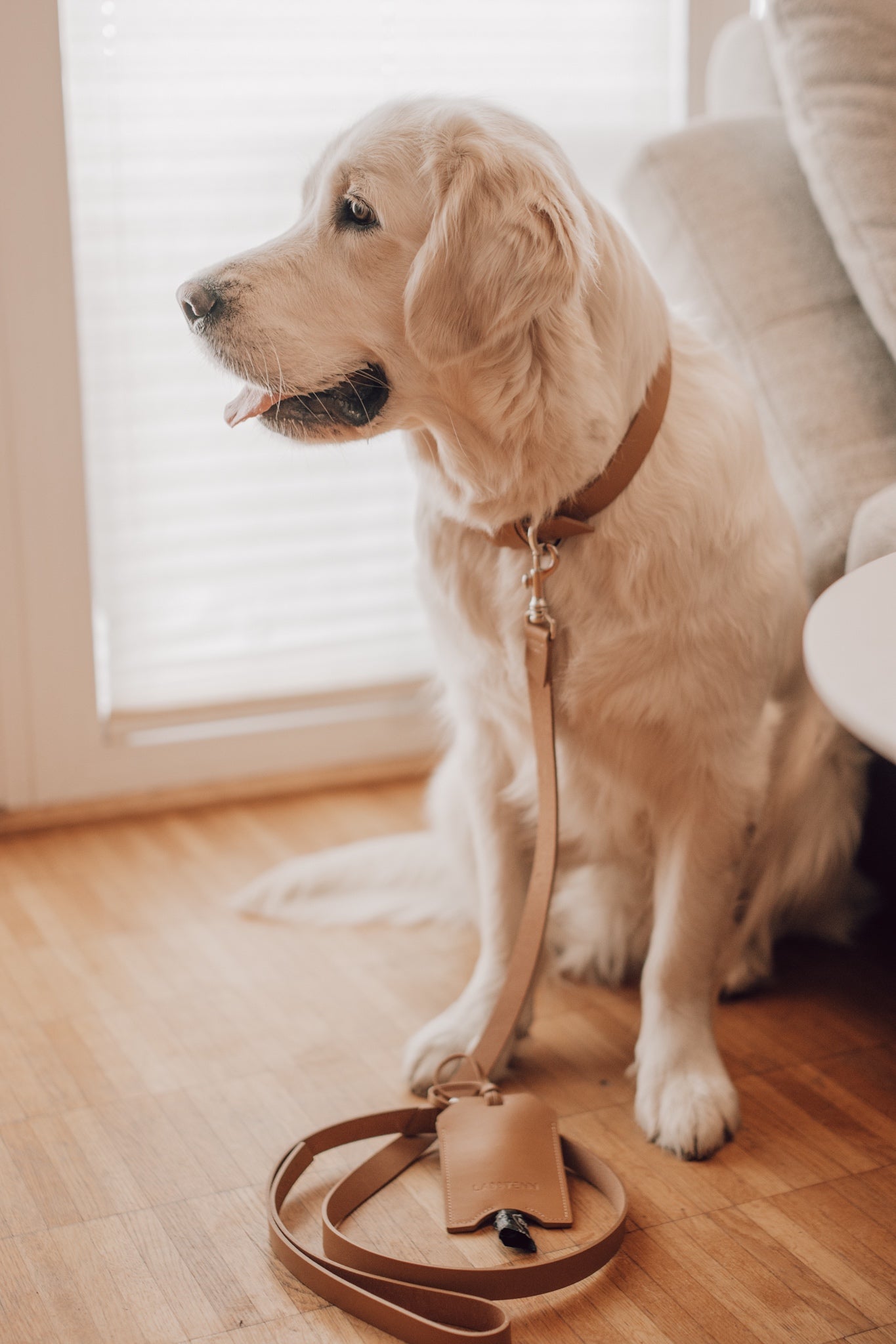 Lussa | Laisse pour chien en cuir italien - Camel - Jean - Poil - 