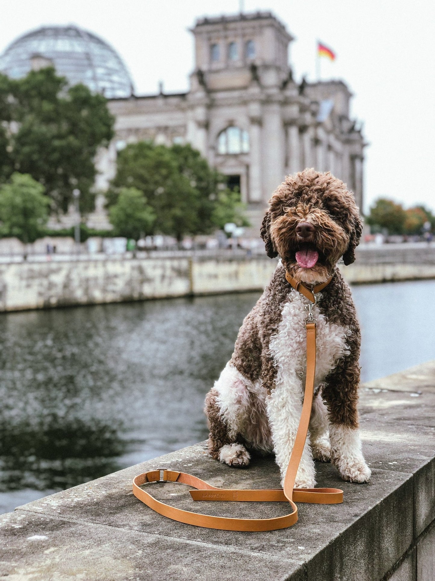 Lussa | Laisse pour chien en cuir italien - Camel - Jean - Poil - 