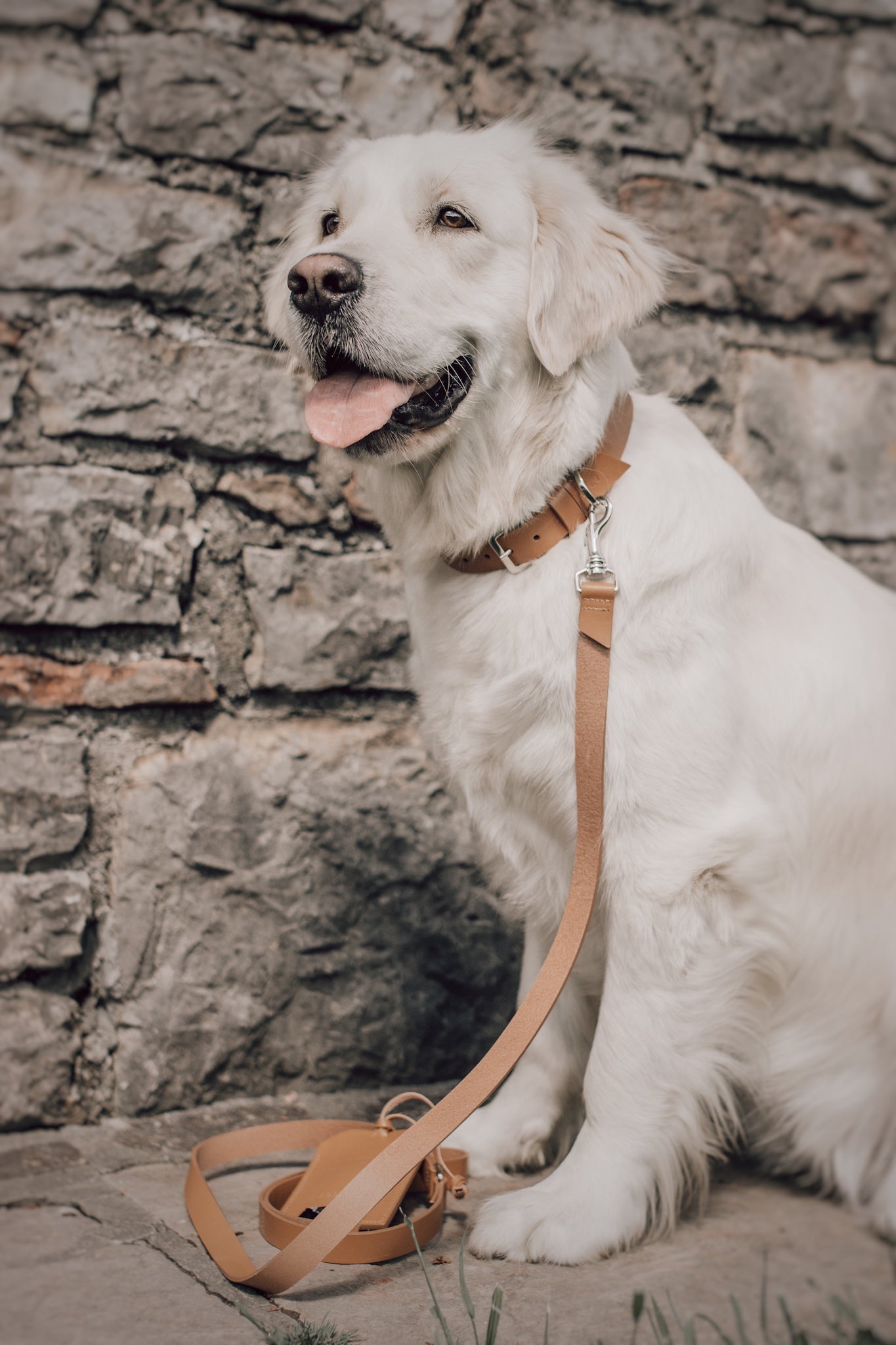 Lussa | Laisse pour chien en cuir italien - Camel - Jean - Poil - 