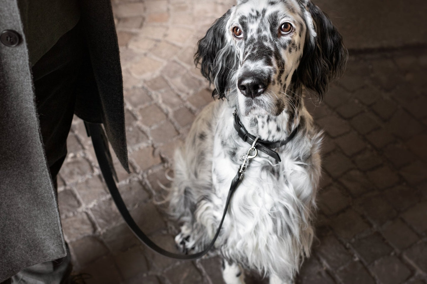 Lussa | Laisse pour chien en cuir italien - Noir - Jean - Poil - 