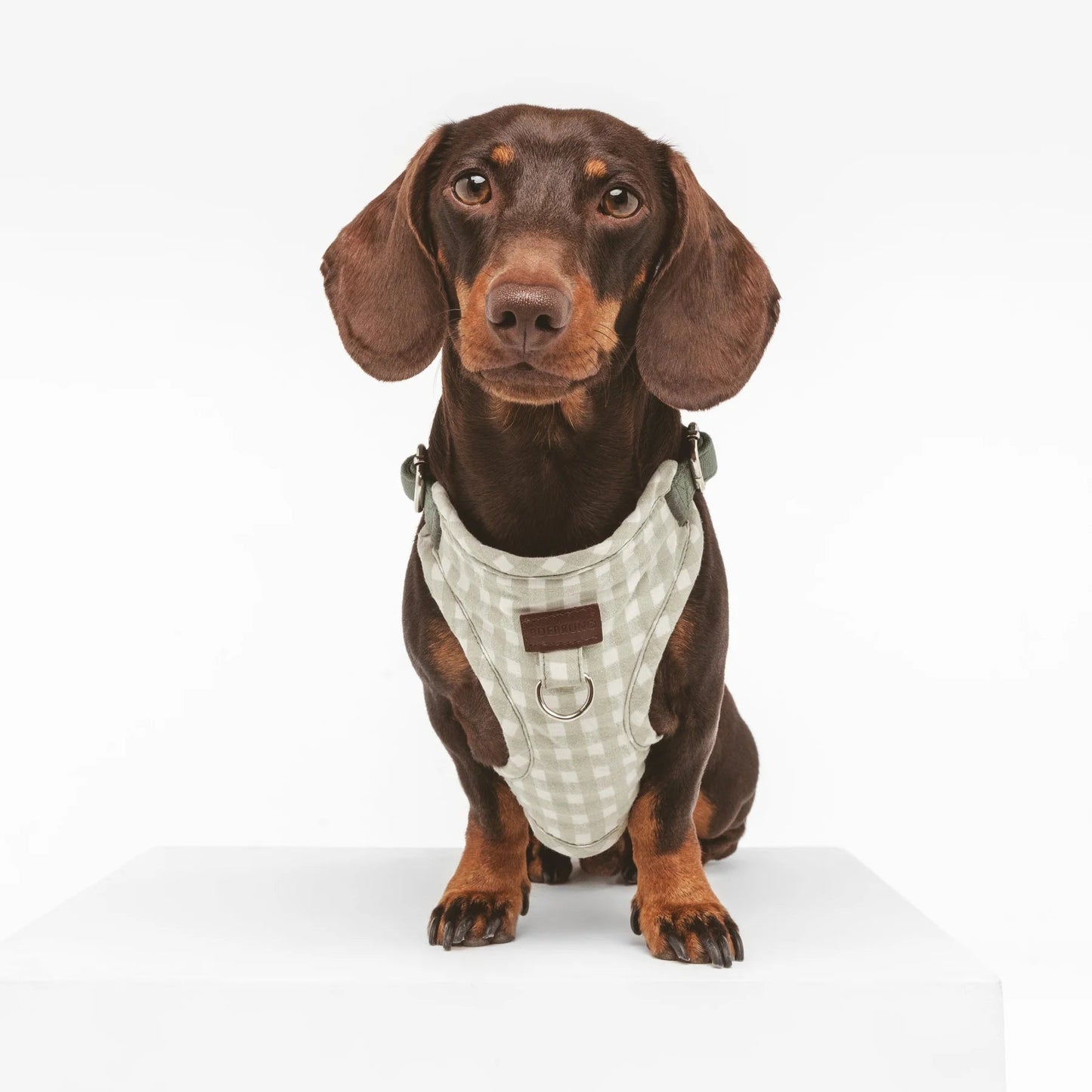 Marieth | Harnais de poitrine pour chien vichy pastel, fait main - Jean-Poil - XS
