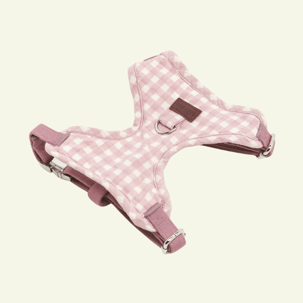 Marieth | Harnais de poitrine pour chien vichy pastel, fait main - Jean-Poil - XS