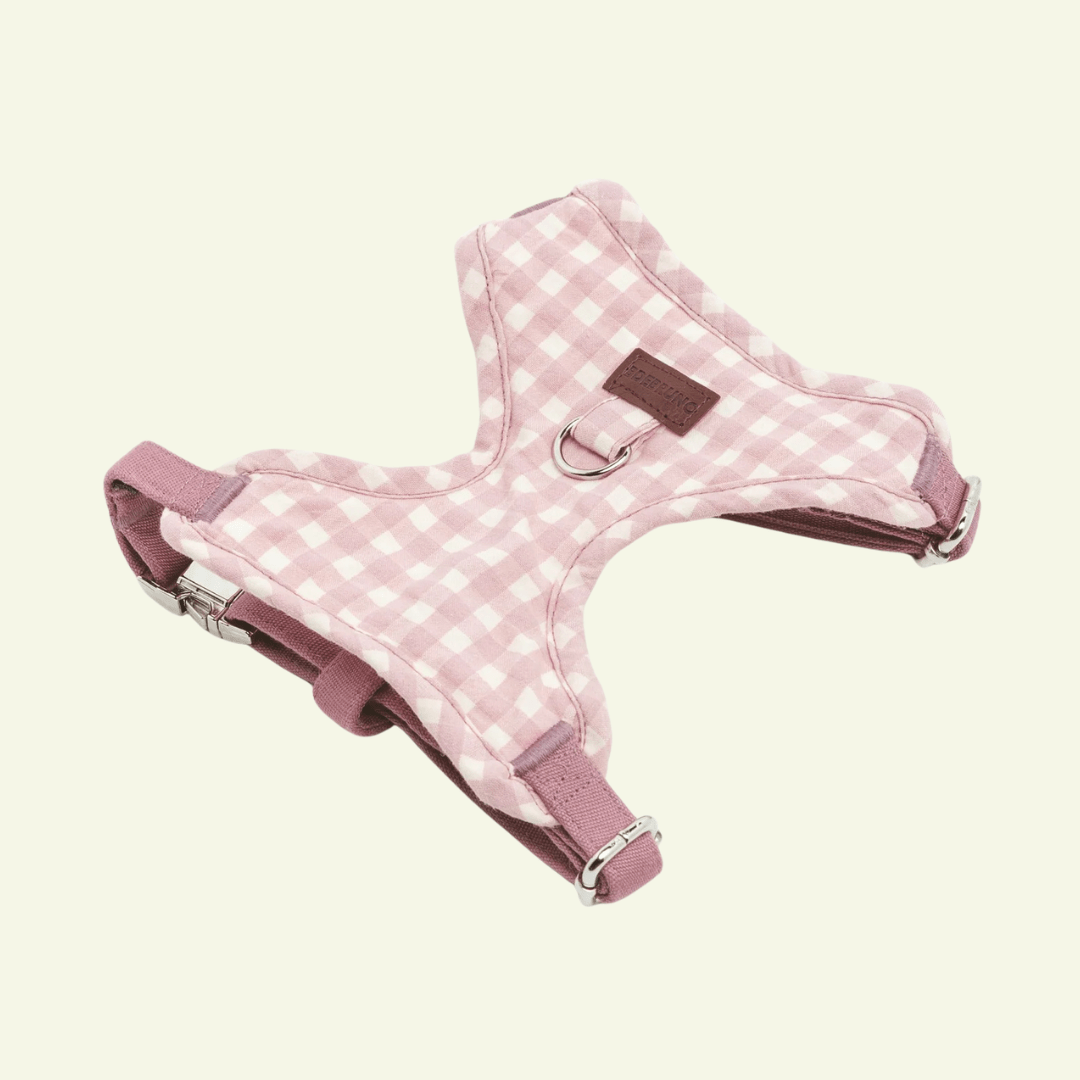Marieth | Harnais de poitrine pour chien vichy pastel, fait main - Jean-Poil - XS