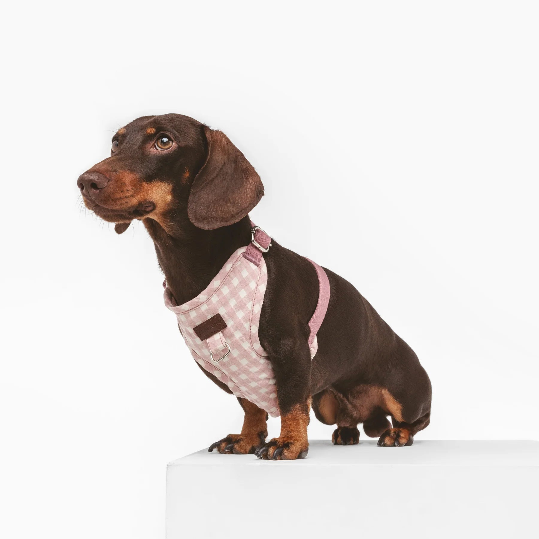 Marieth | Harnais de poitrine pour chien vichy pastel, fait main - Jean-Poil - XS