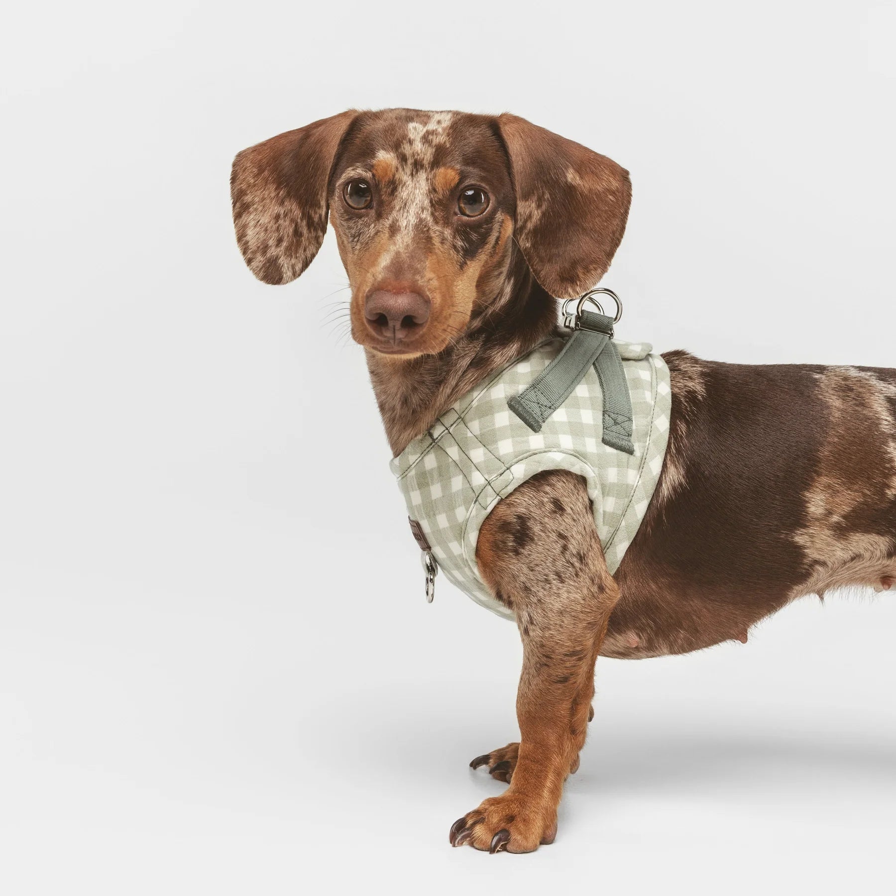 Marieth | Harnais wrap pour chien vichy pastel, fait main - Jean-Poil - 2XS