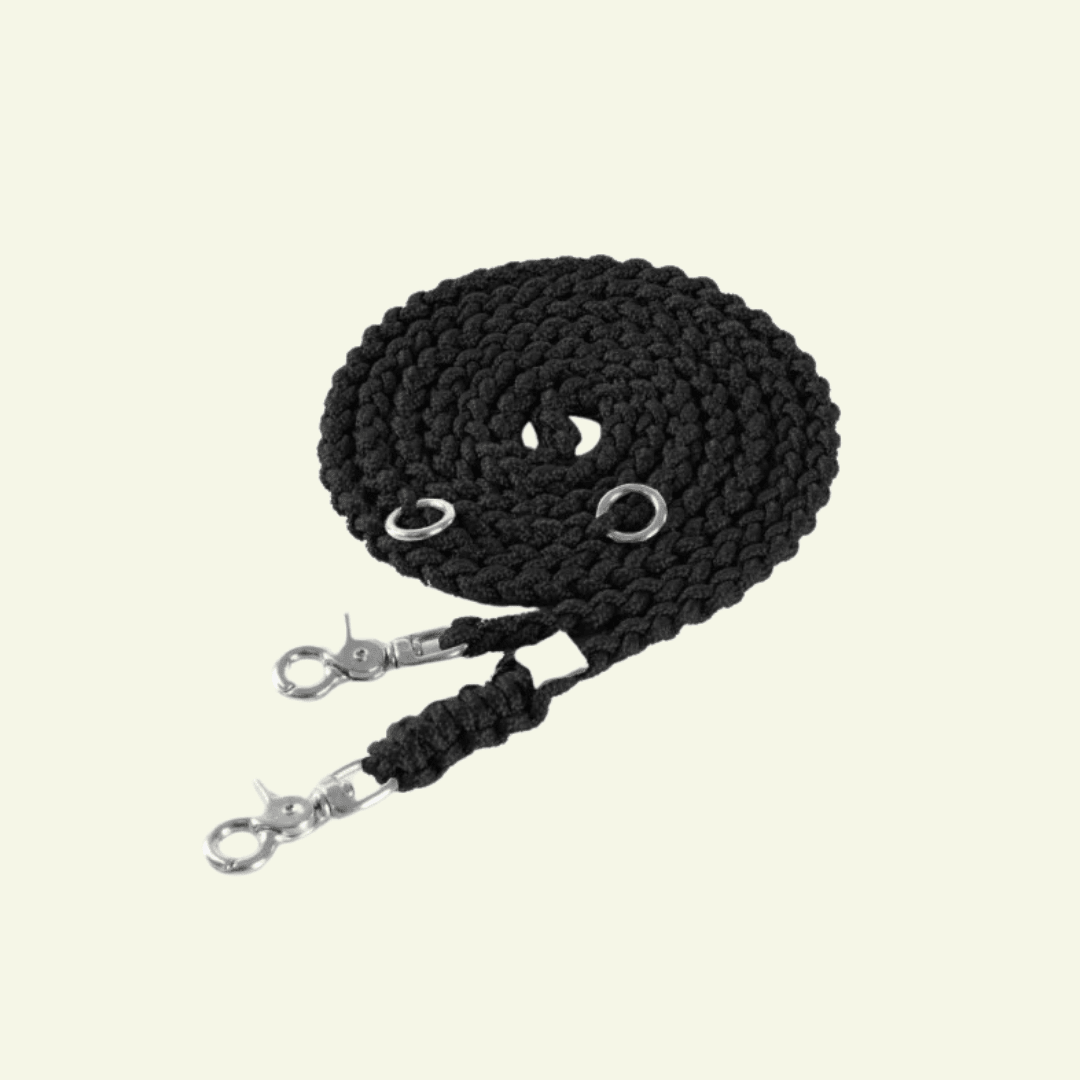 Maritime | Laisse multipositions pour chien en corde – Finition laiton ou acier (9 coloris) - Jean - Poil - Noir