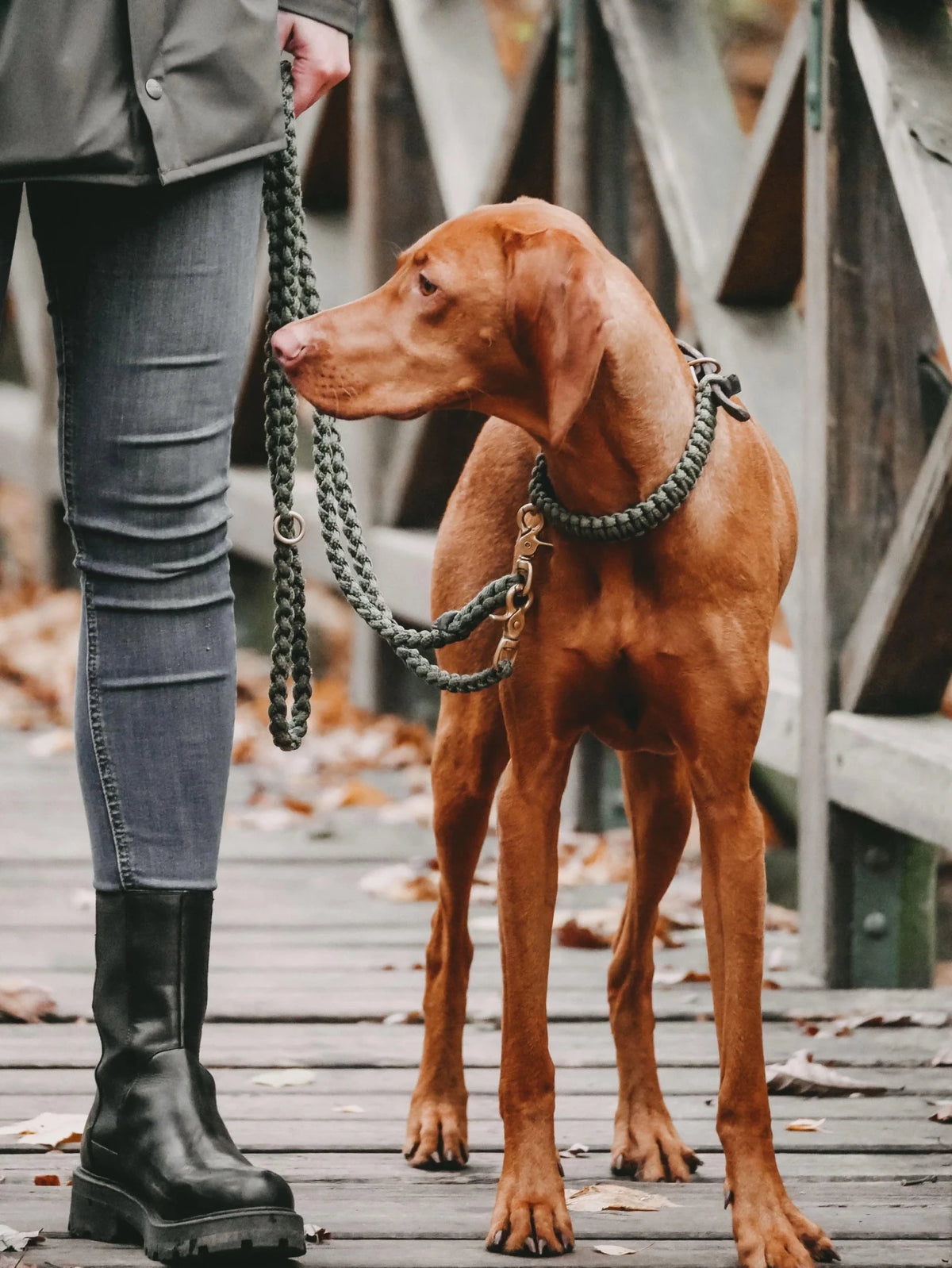 Maritime | Laisse multipositions pour chien en corde – Finition laiton ou acier (9 coloris) - Jean - Poil - Vert
