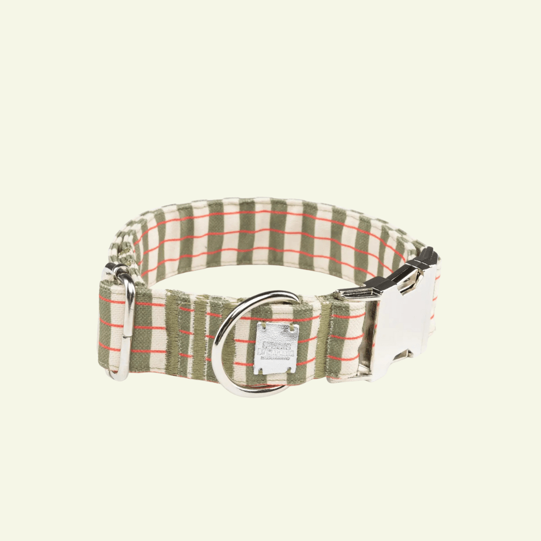 Matcha | Collier pour chien motif rayures vert et écru, fait main - Jean - Poil - XS