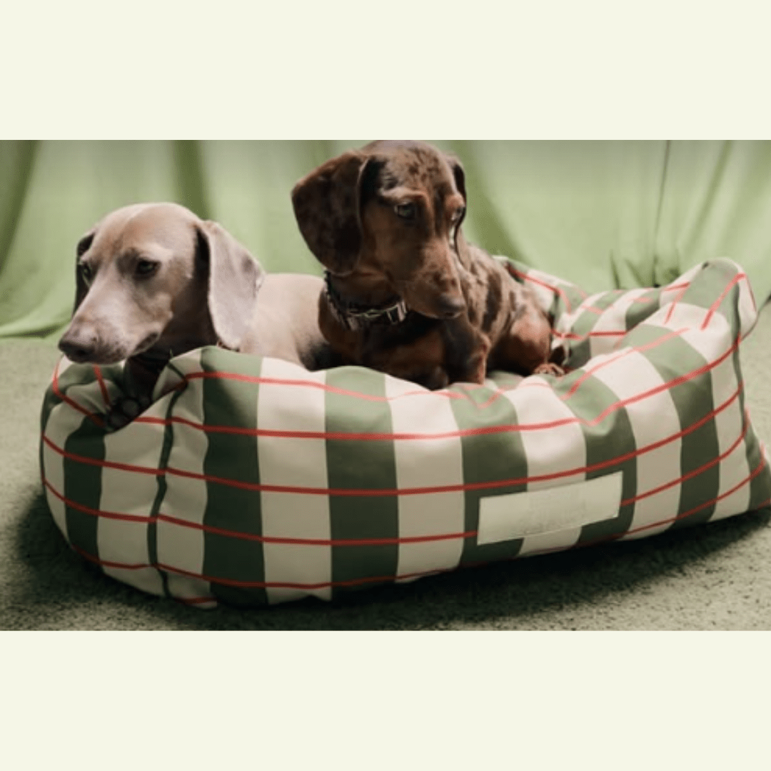 Matcha | Panier déhoussable pour chien, soutien ferme - Jean - Poil - S