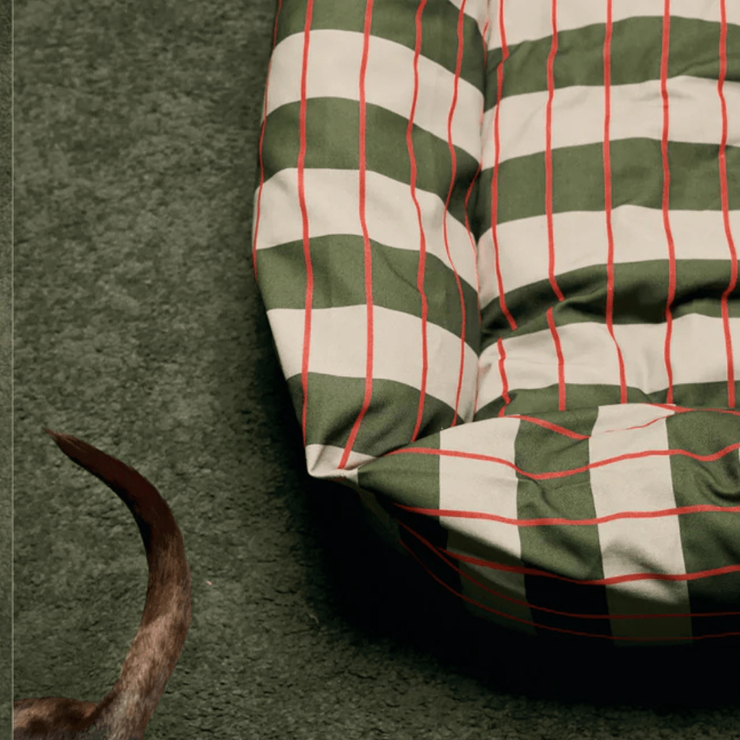 Matcha | Panier déhoussable pour chien, soutien ferme - Jean - Poil - S