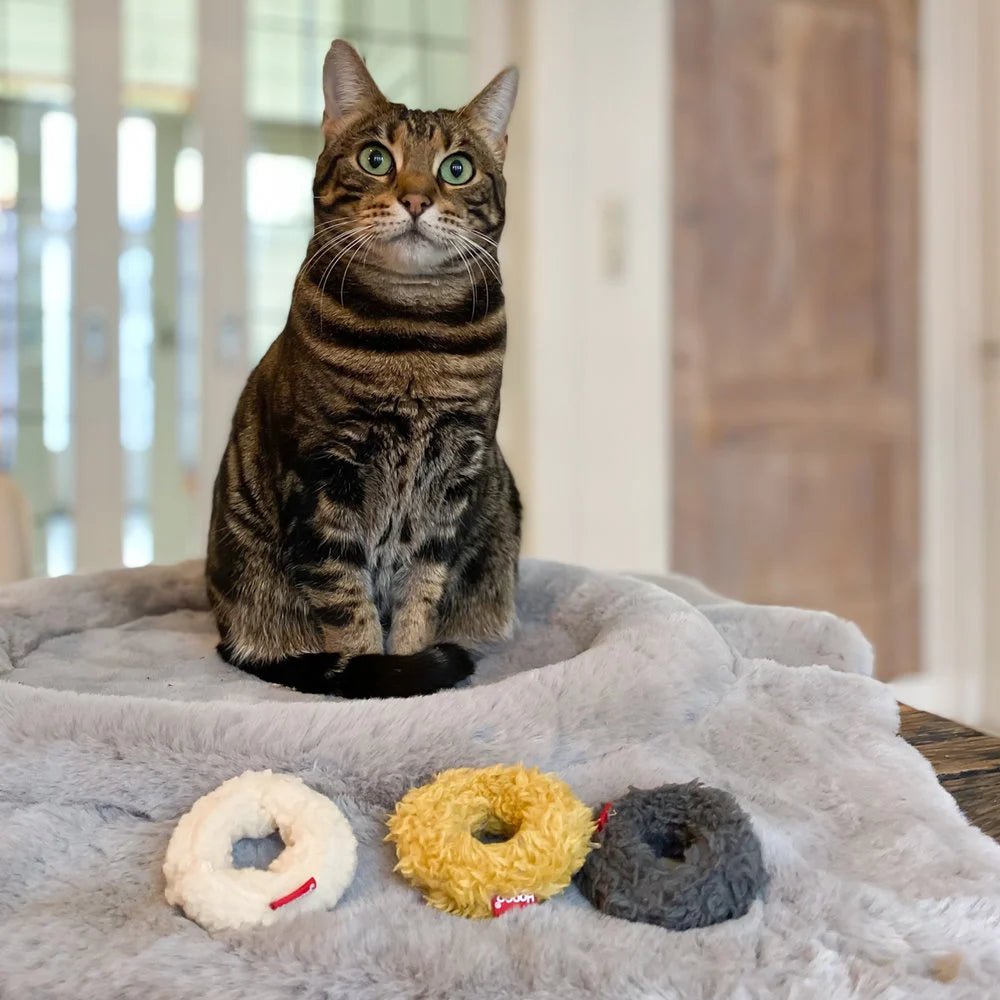 Mini Donuts | Jouets crépitants pour chat, lot de 3 - Jean - Poil - 