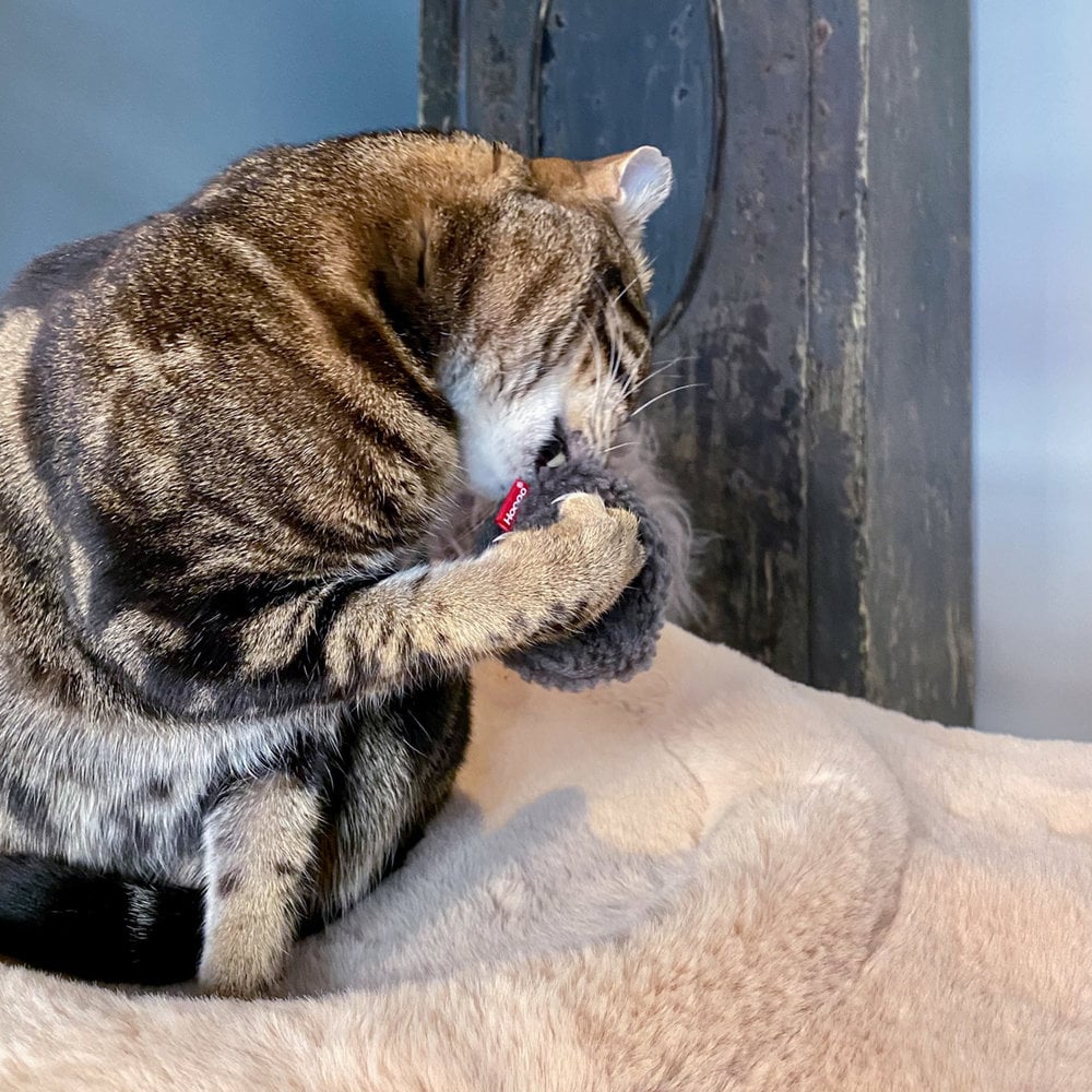 Mini Donuts | Jouets crépitants pour chat, lot de 3 - Jean - Poil - 