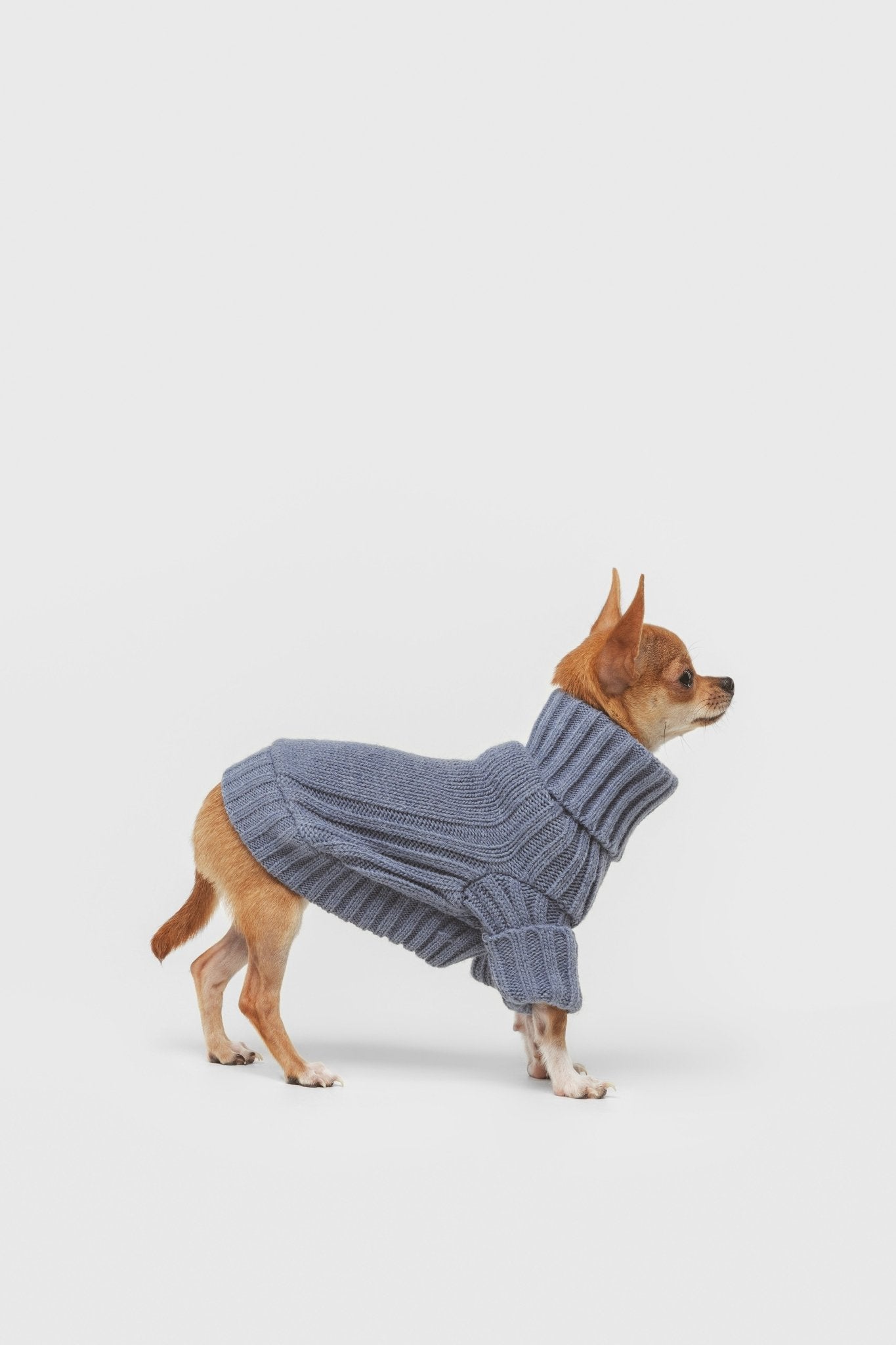 Mist | Pull pour chien bleu - Laine & Alpaga - Jean - Poil - XS