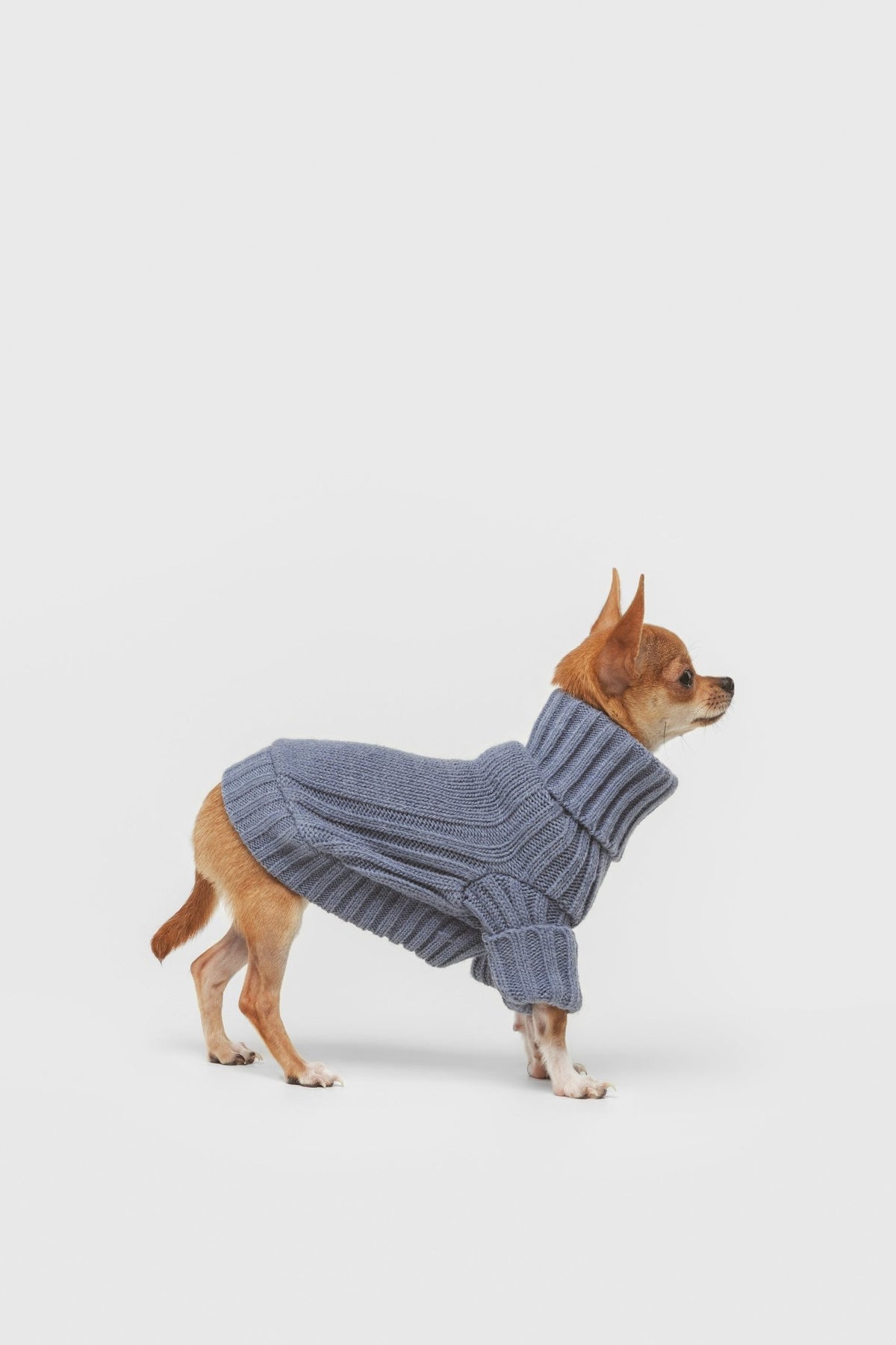 Mist | Pull pour chien bleu - Laine & Alpaga - Jean - Poil - XS