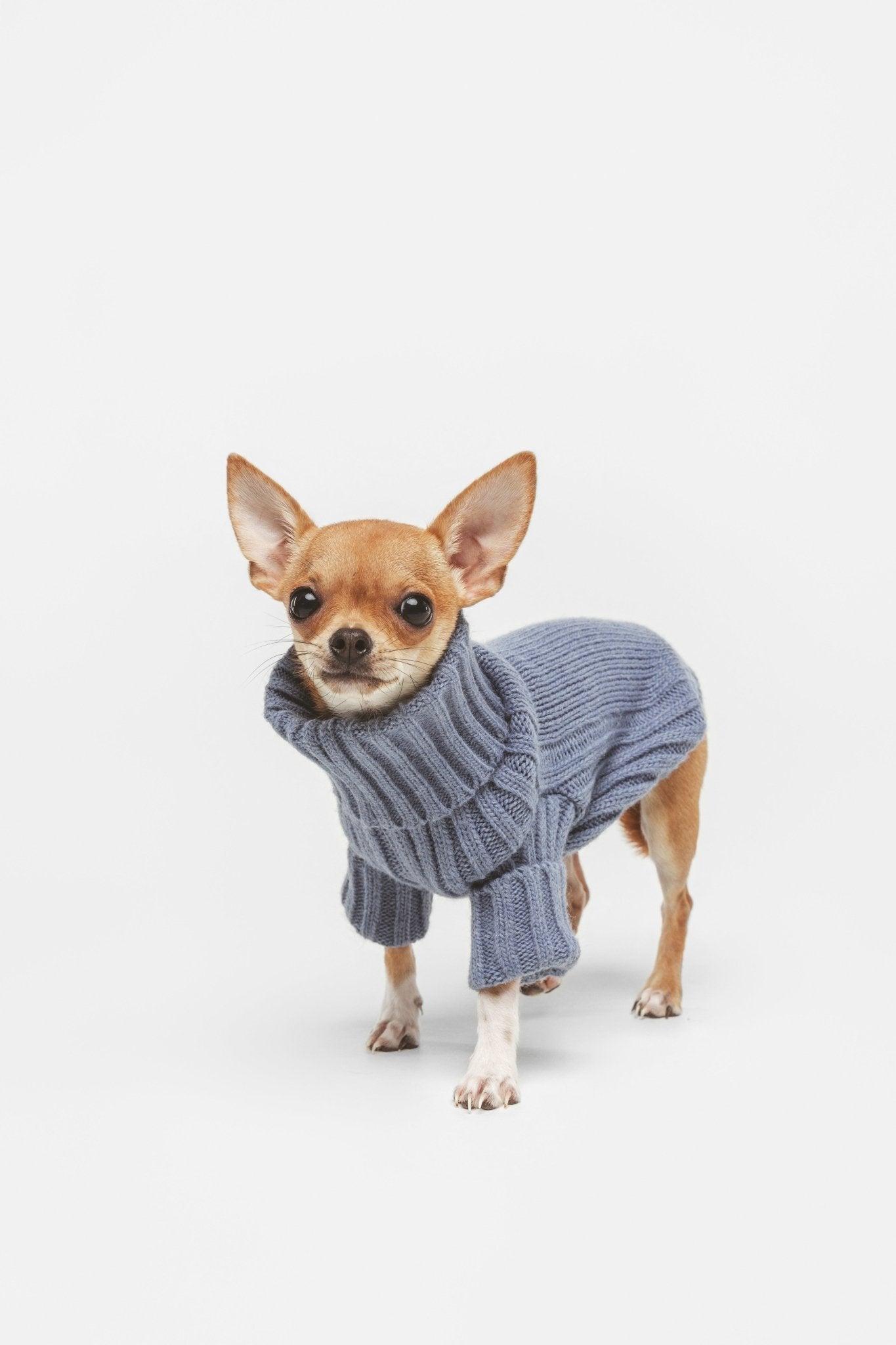 Mist | Pull pour chien bleu - Laine & Alpaga - Jean - Poil - XS