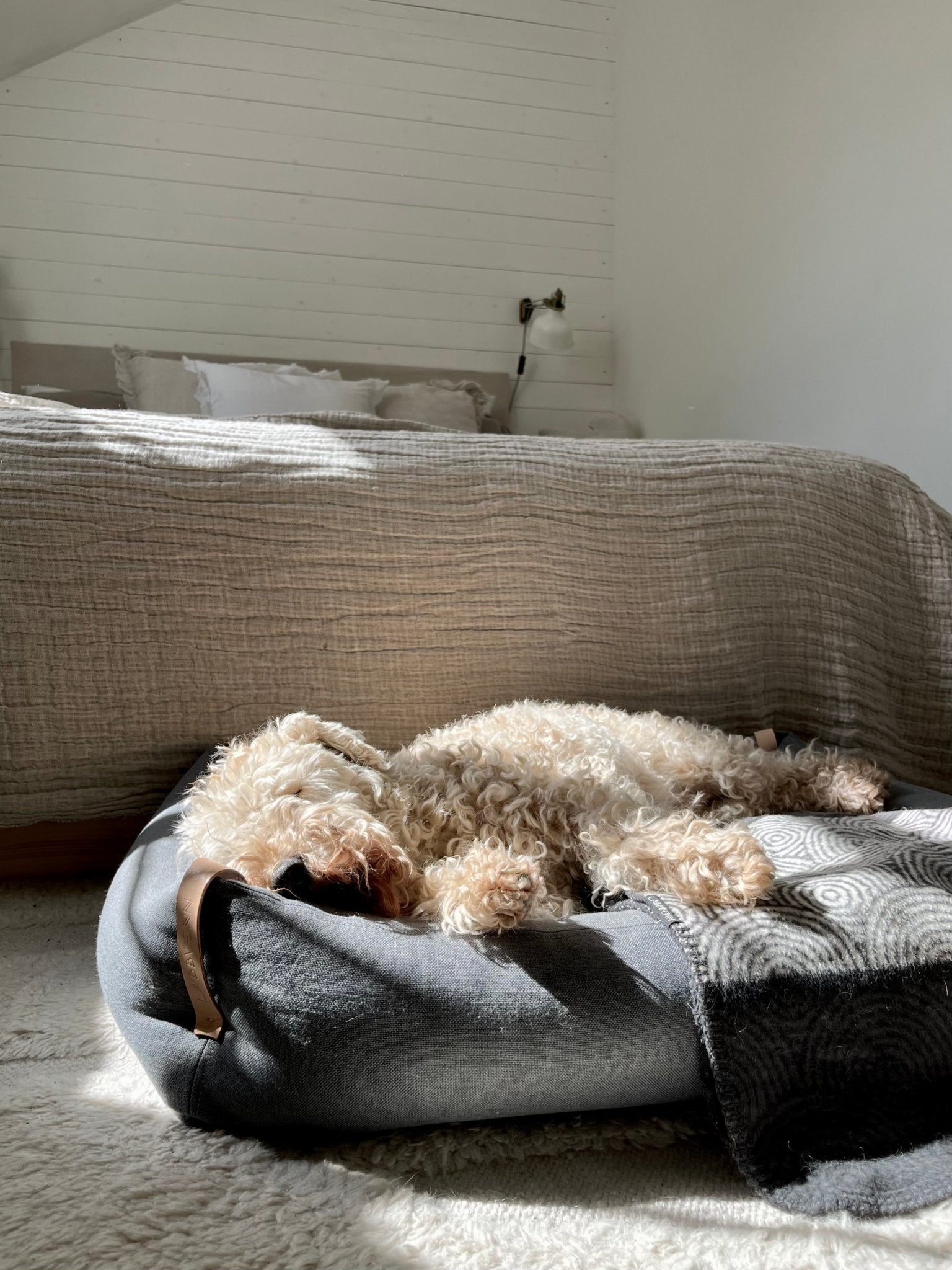 Moe | Panier pour chien design - mousse orthopédique & housse amovible - Jean - Poil - Vert clair