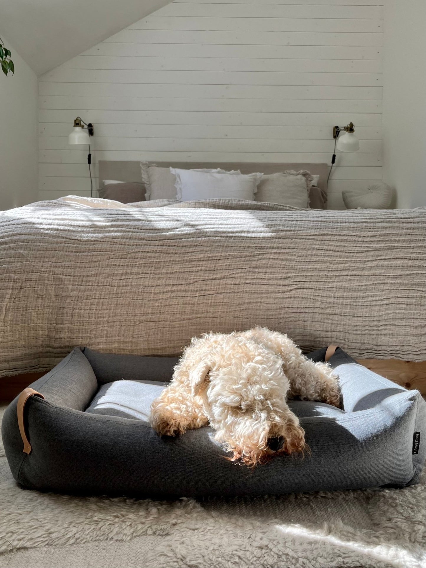 Moe | Panier pour chien design - mousse orthopédique & housse amovible - Jean - Poil - Vert clair