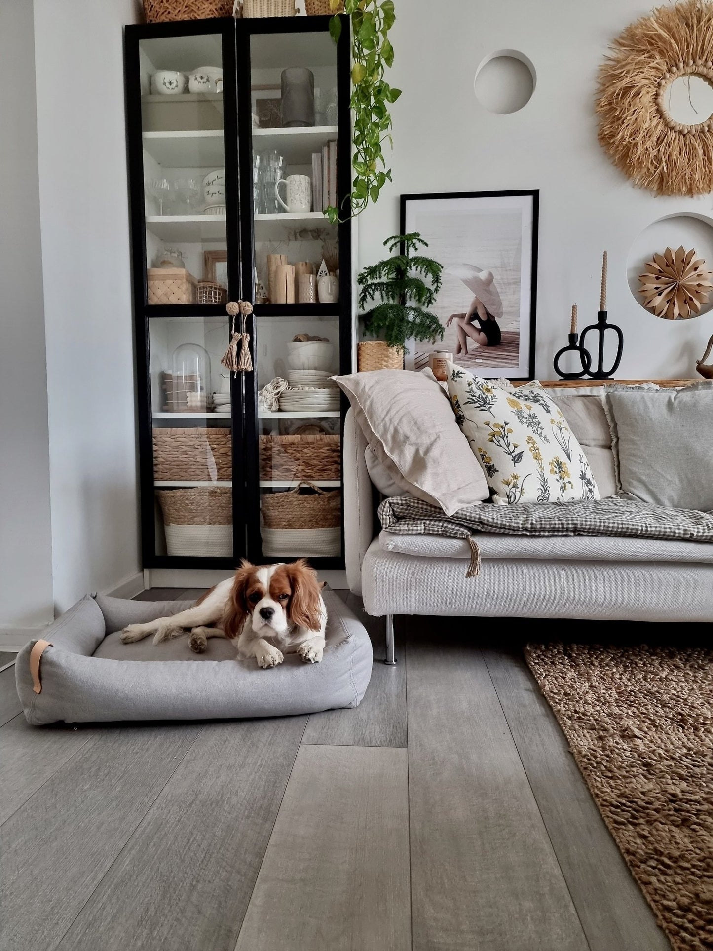 Moe | Panier pour chien design - mousse orthopédique & housse amovible - Jean - Poil - Vert clair