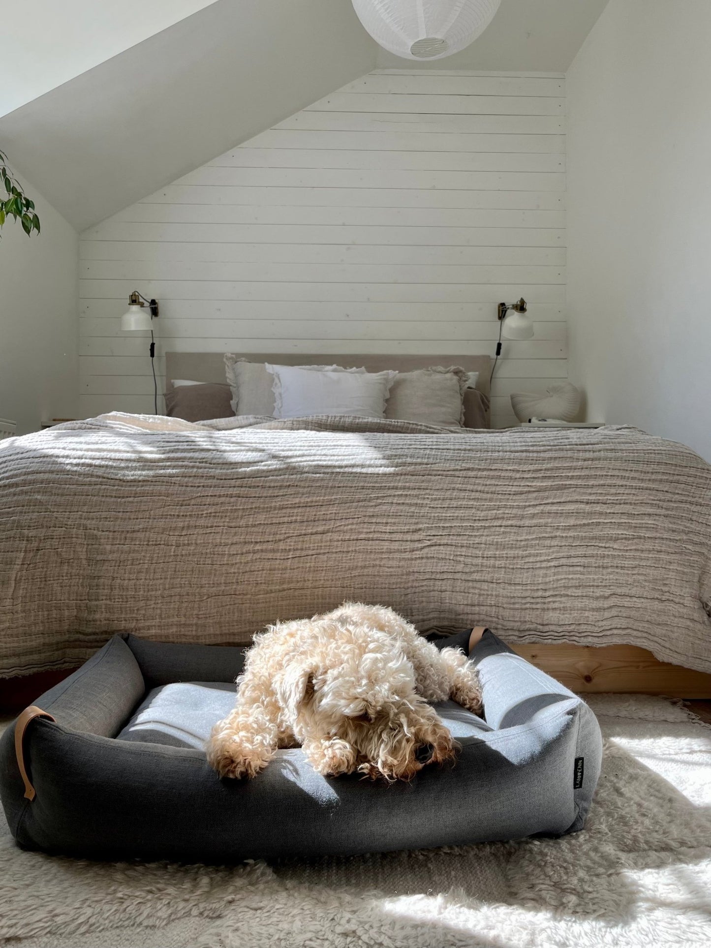 Moe | Panier pour chien design - mousse orthopédique & housse amovible - Jean - Poil - Vert clair